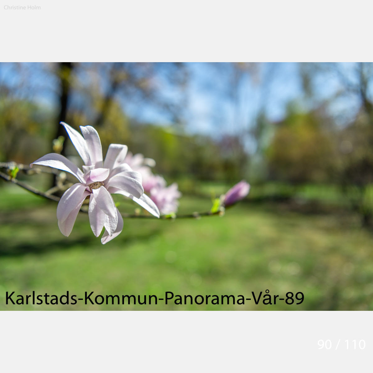 Foto: Christine Holm (www.christineholm.myportfolio.com)