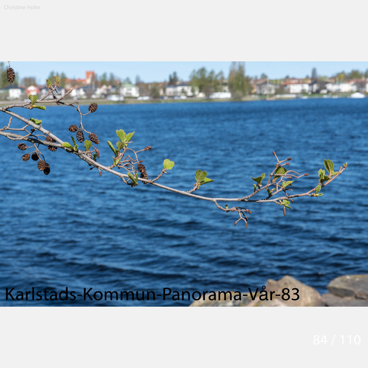 Foto: Christine Holm (www.christineholm.myportfolio.com)