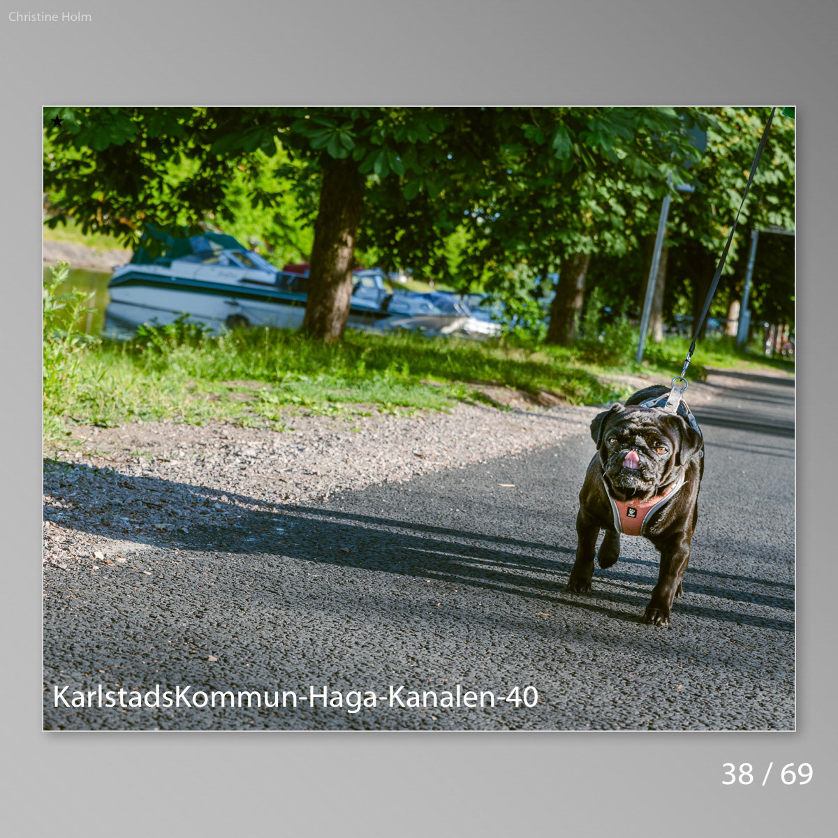 Foto: Christine Holm (www.christineholm.myportfolio.com)