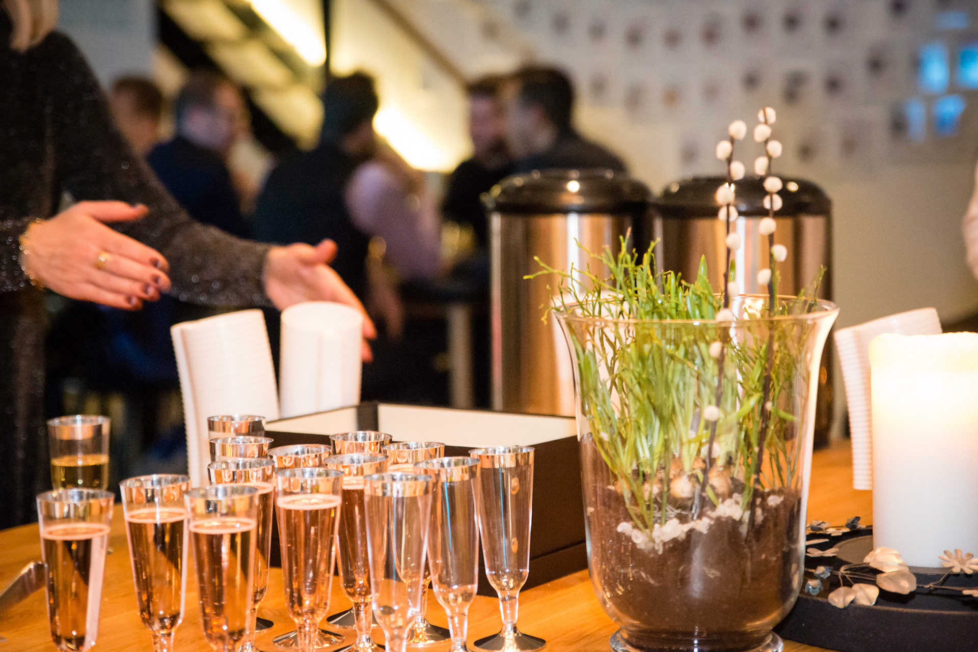 Foto: Christine Holm (www.christineholm.myportfolio.com)