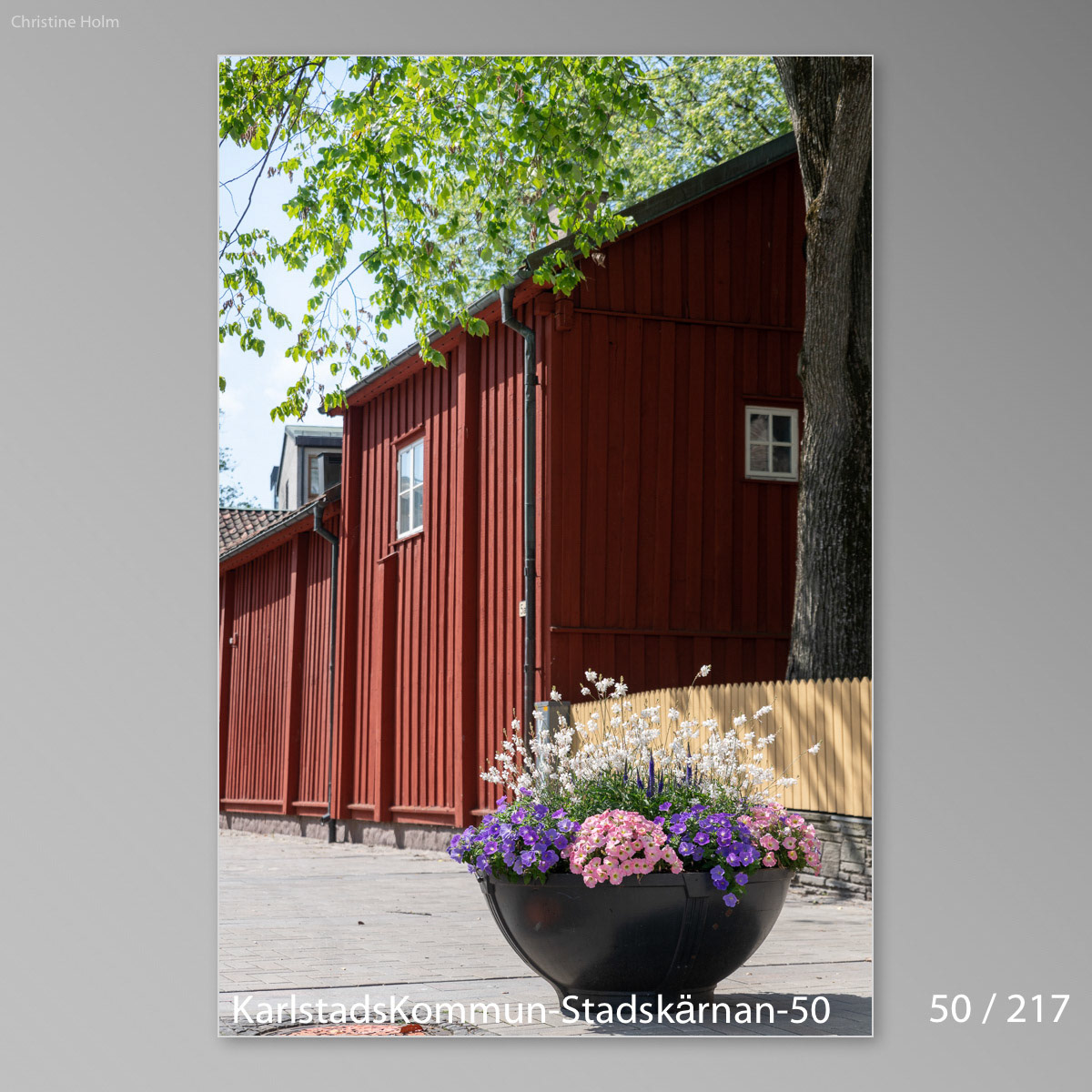 Foto: Christine Holm (www.christineholm.myportfolio.com)