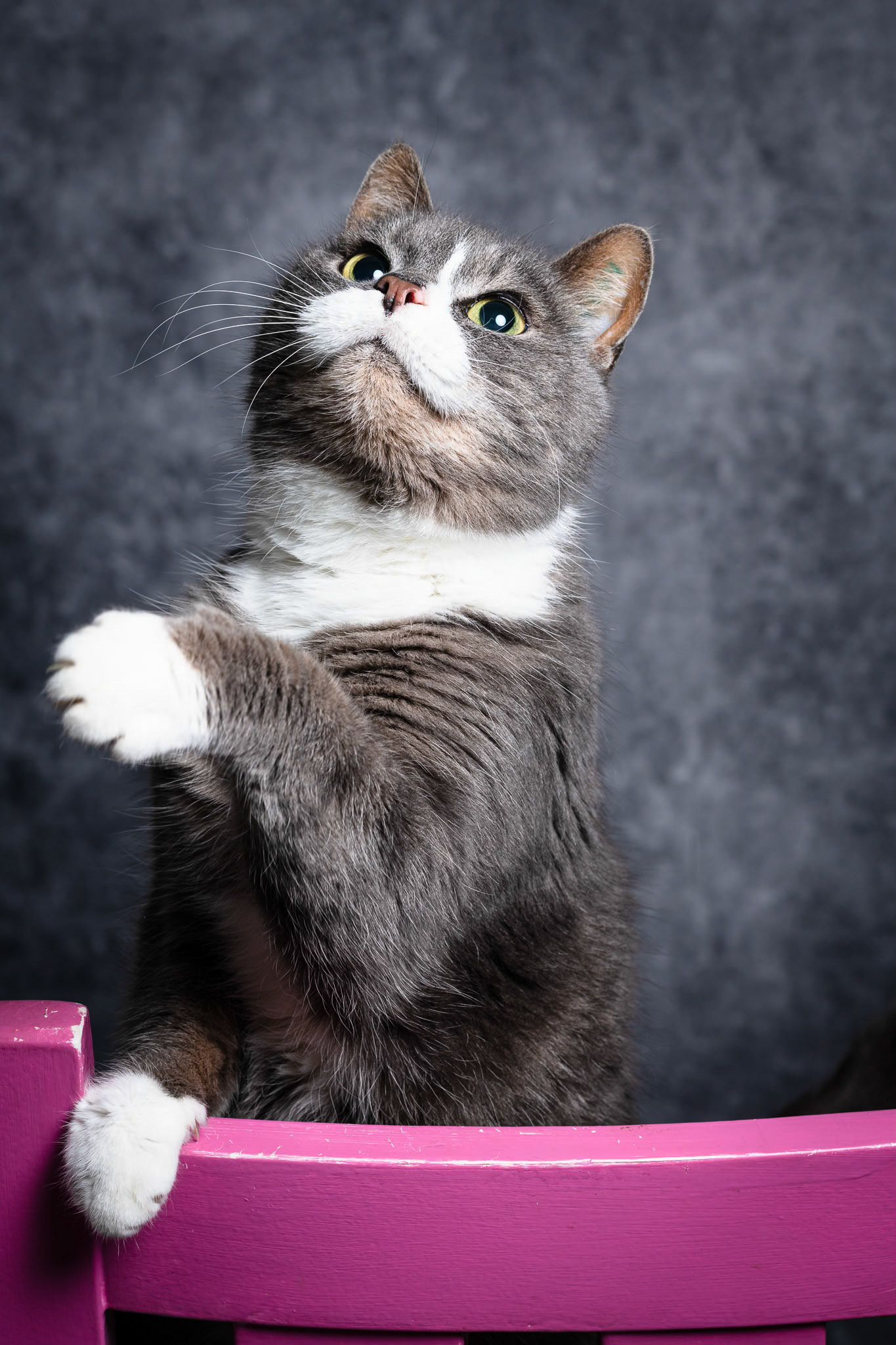 Foto: Christine Holm (www.christineholm.myportfolio.com)