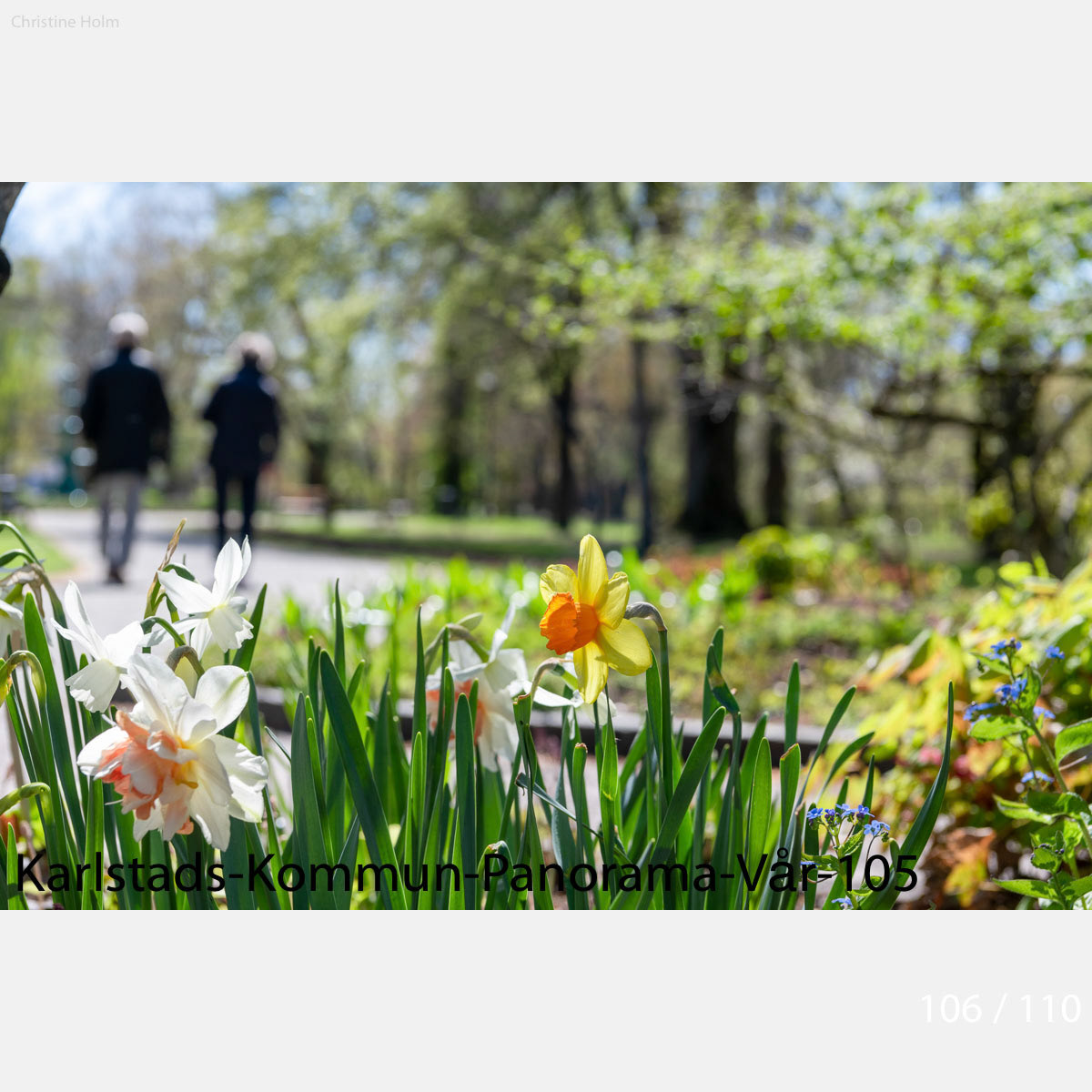 Foto: Christine Holm (www.christineholm.myportfolio.com)