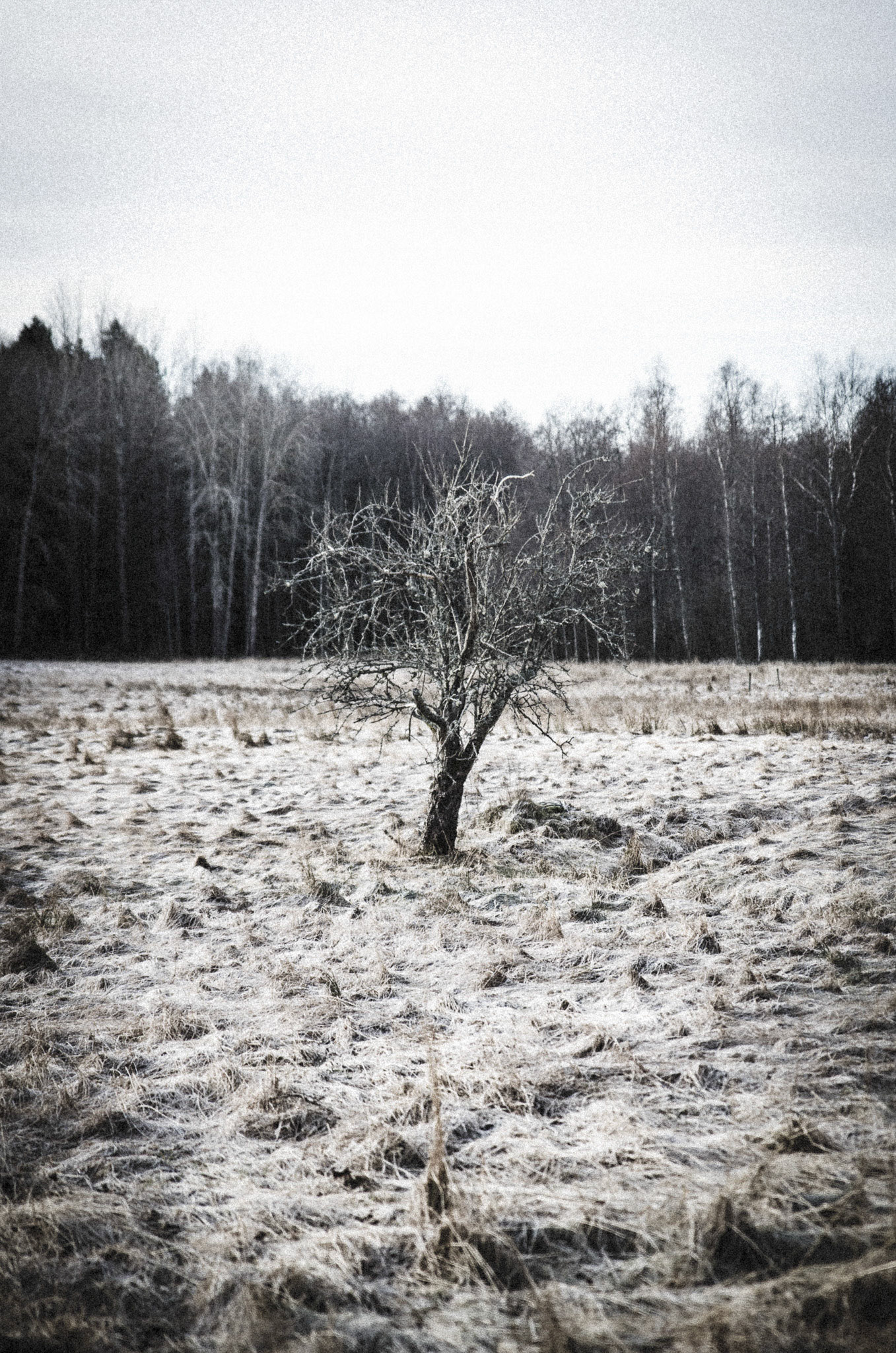 Foto: Christine Holm (www.christineholm.myportfolio.com)