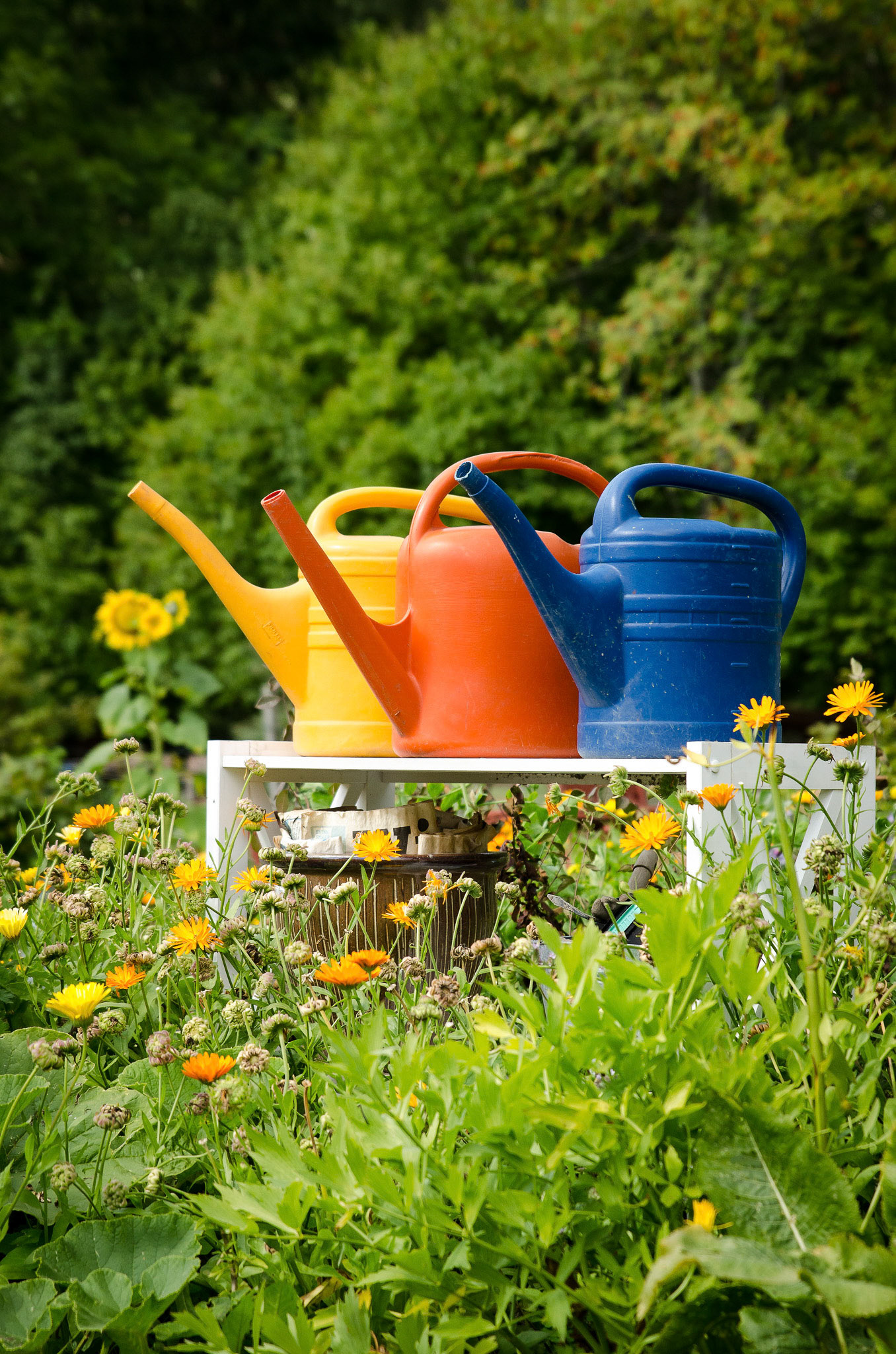 Foto: Christine Holm (www.christineholm.myportfolio.com)