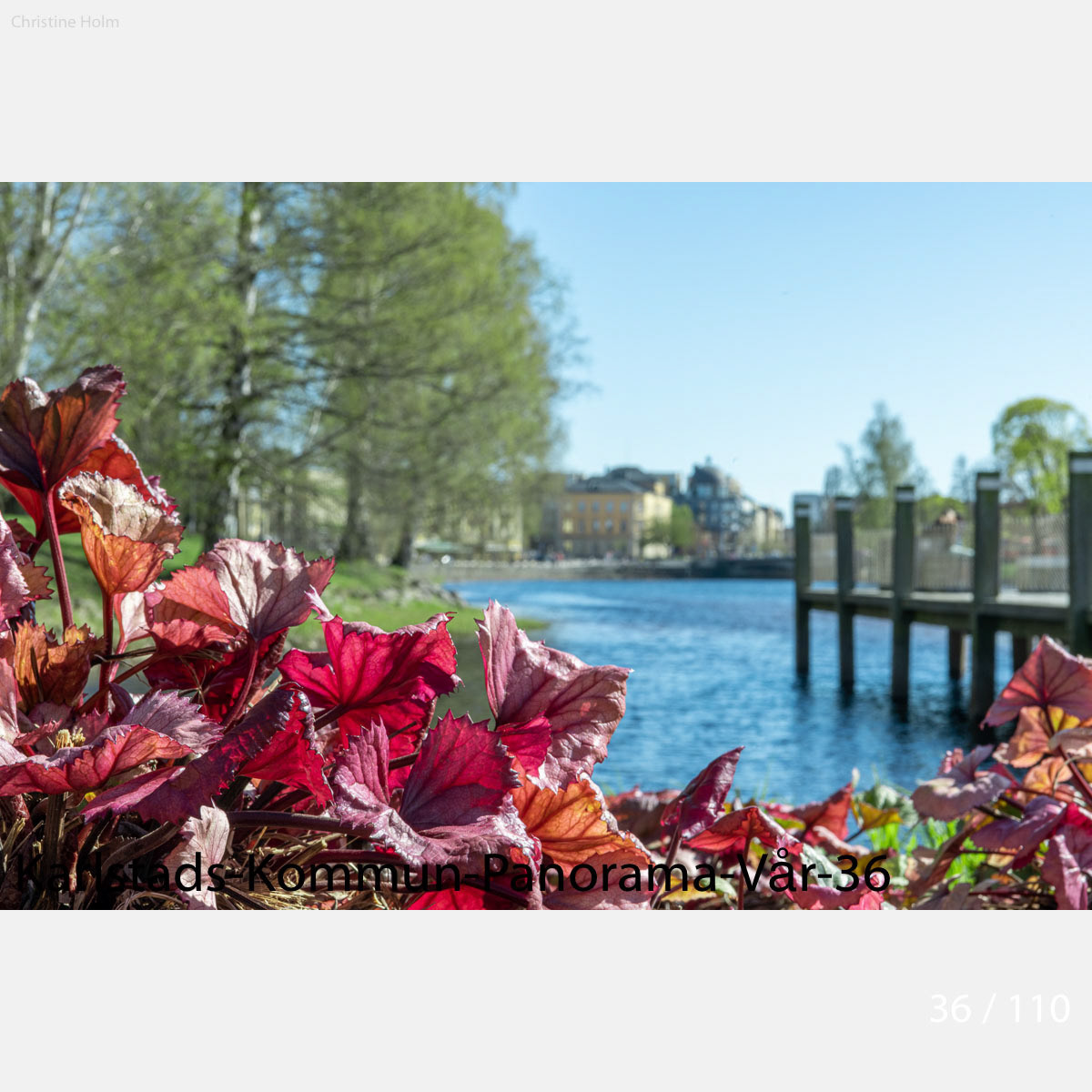 Foto: Christine Holm (www.christineholm.myportfolio.com)