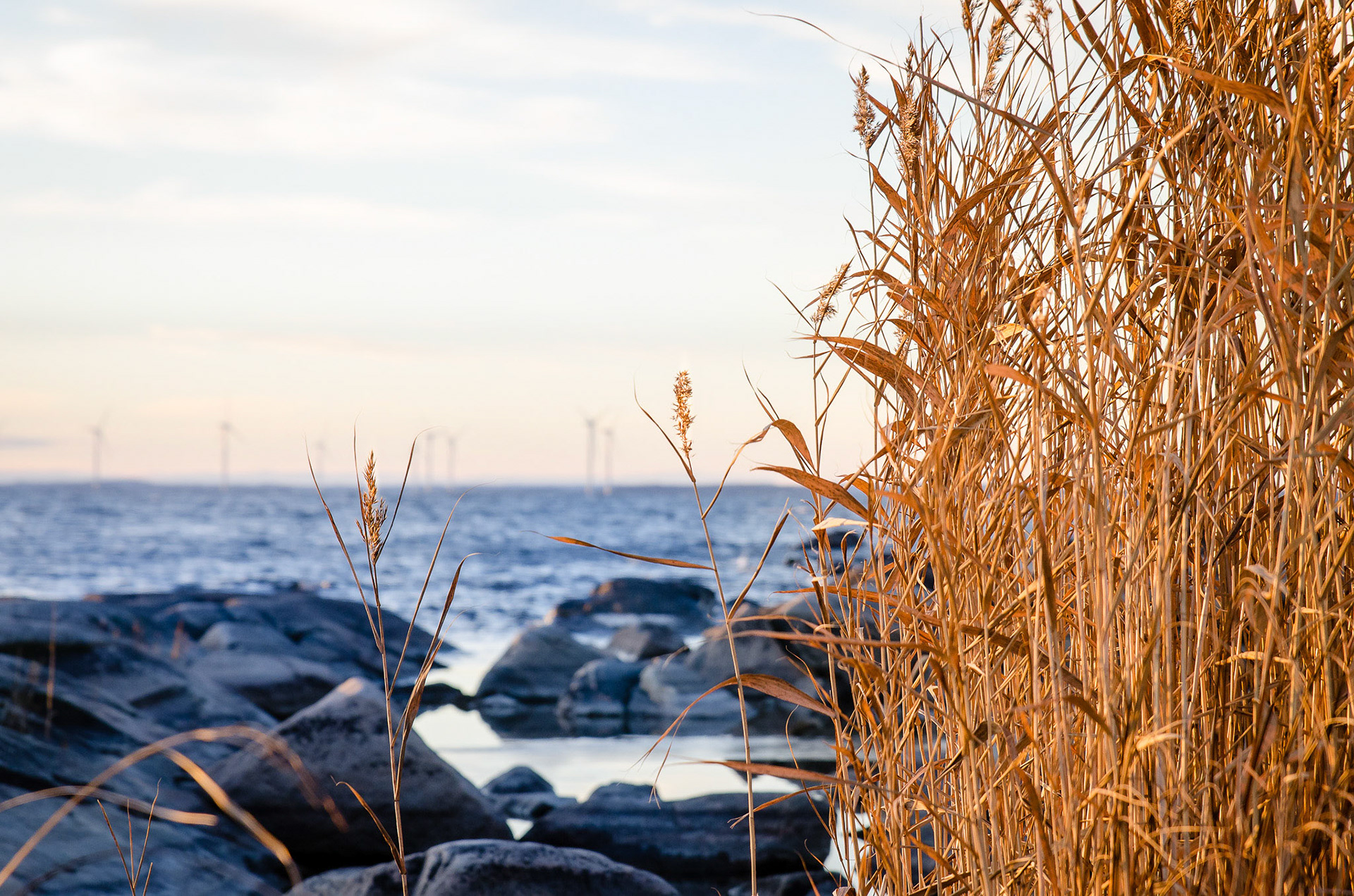 Foto: Christine Holm (www.christineholm.myportfolio.com)