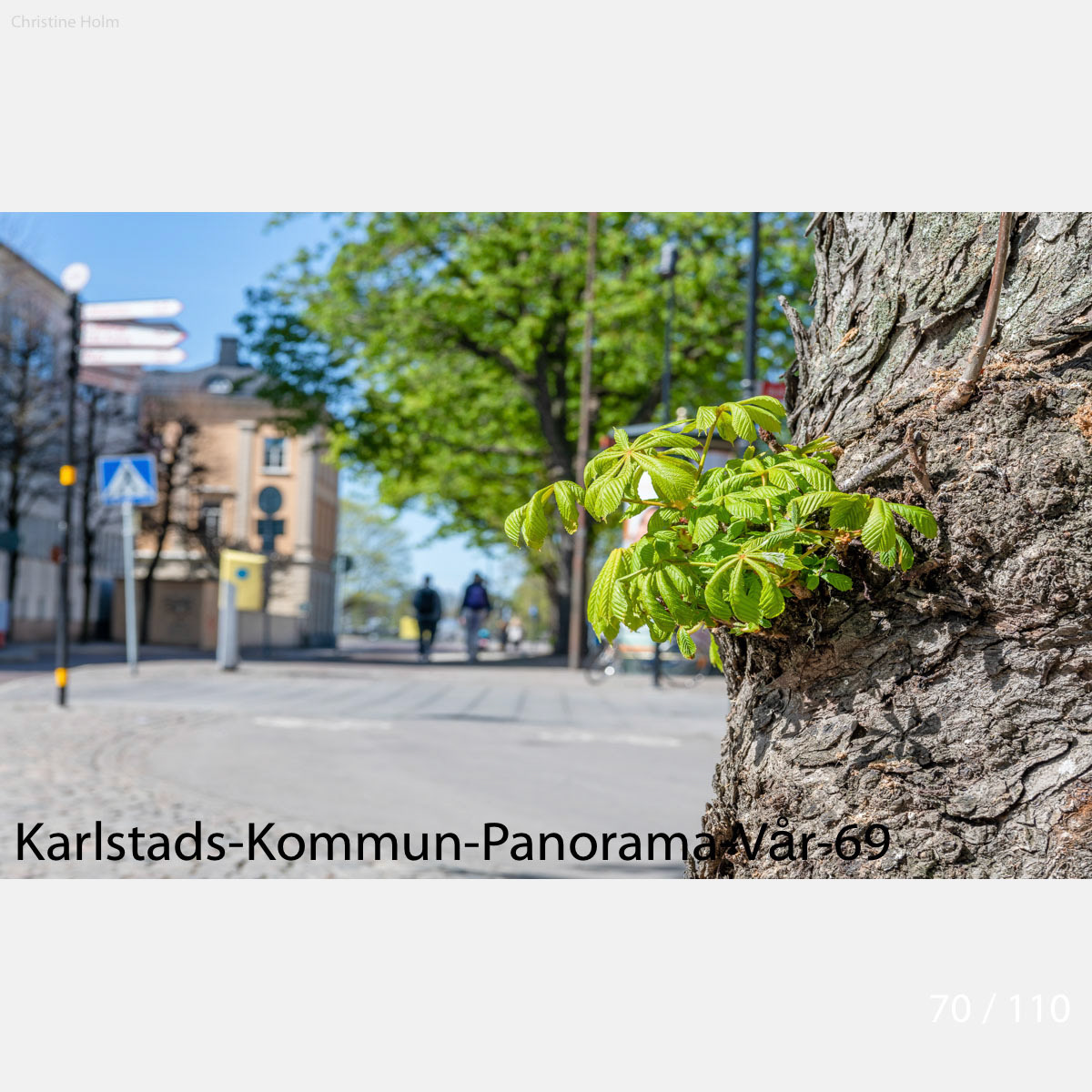 Foto: Christine Holm (www.christineholm.myportfolio.com)