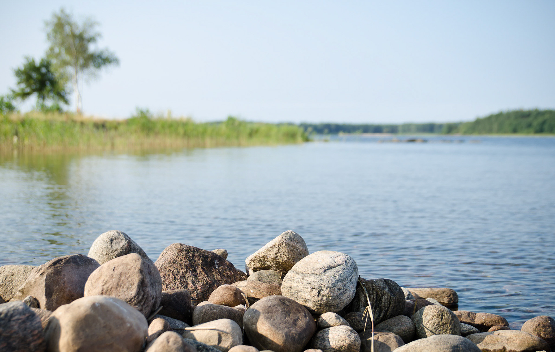 Foto: Christine Holm (www.christineholm.myportfolio.com)