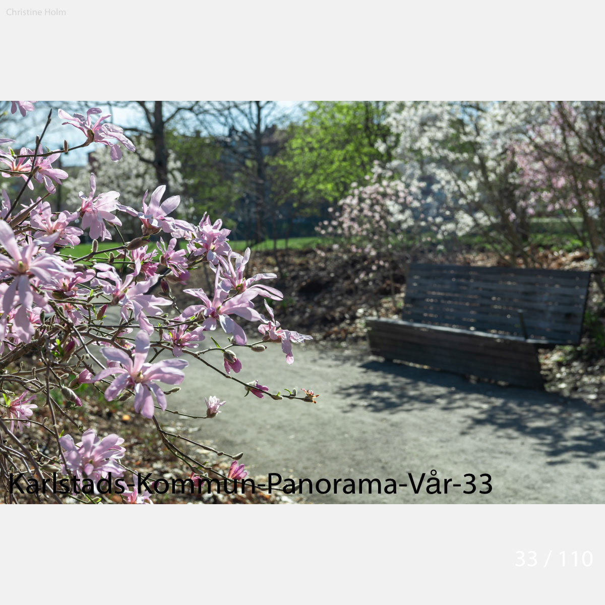 Foto: Christine Holm (www.christineholm.myportfolio.com)