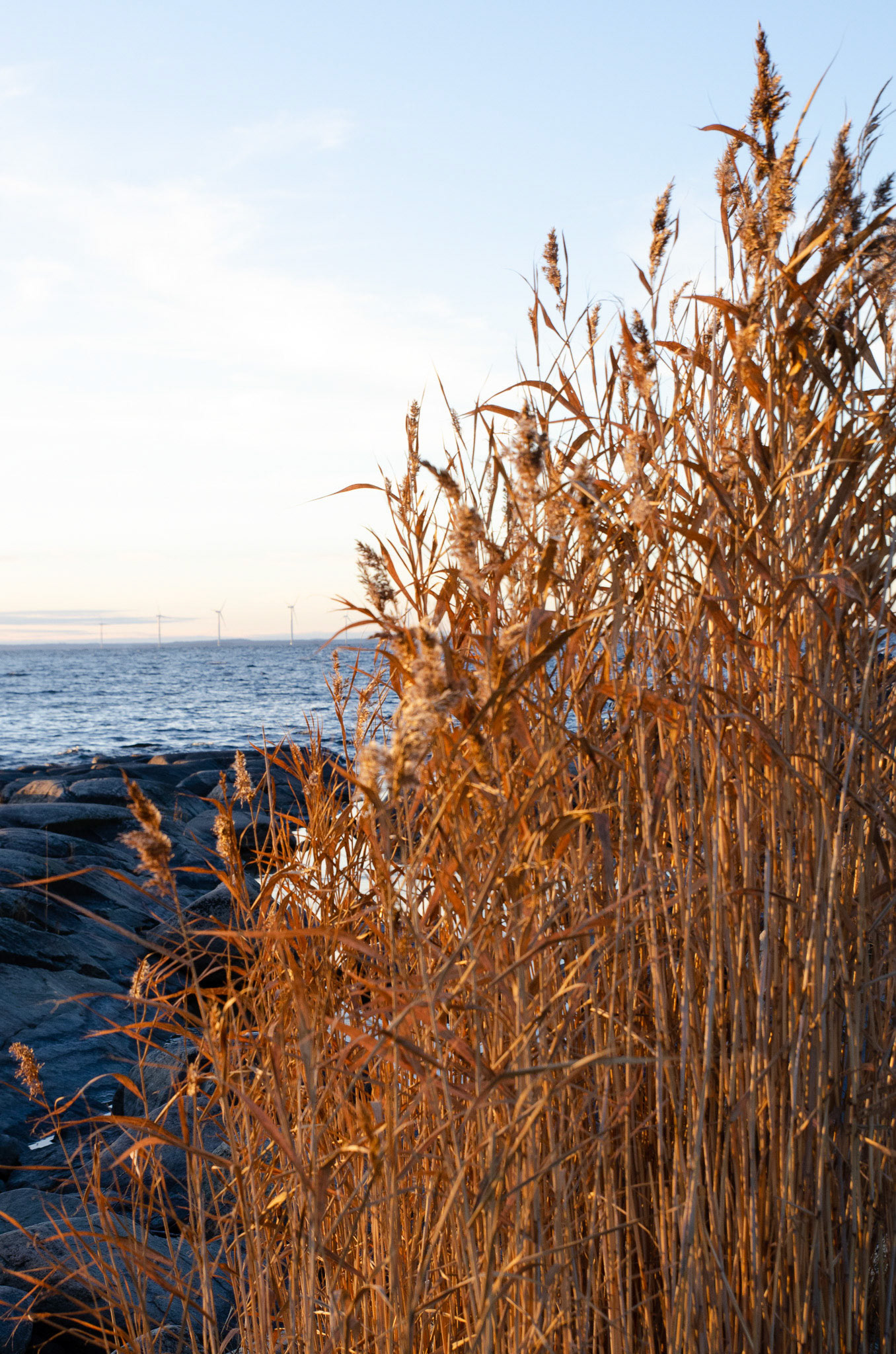 Foto: Christine Holm (www.christineholm.myportfolio.com)