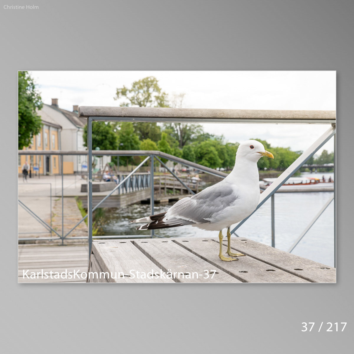 Foto: Christine Holm (www.christineholm.myportfolio.com)