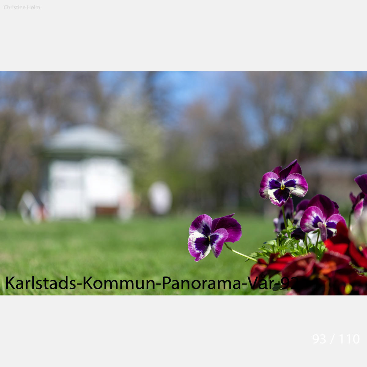 Foto: Christine Holm (www.christineholm.myportfolio.com)