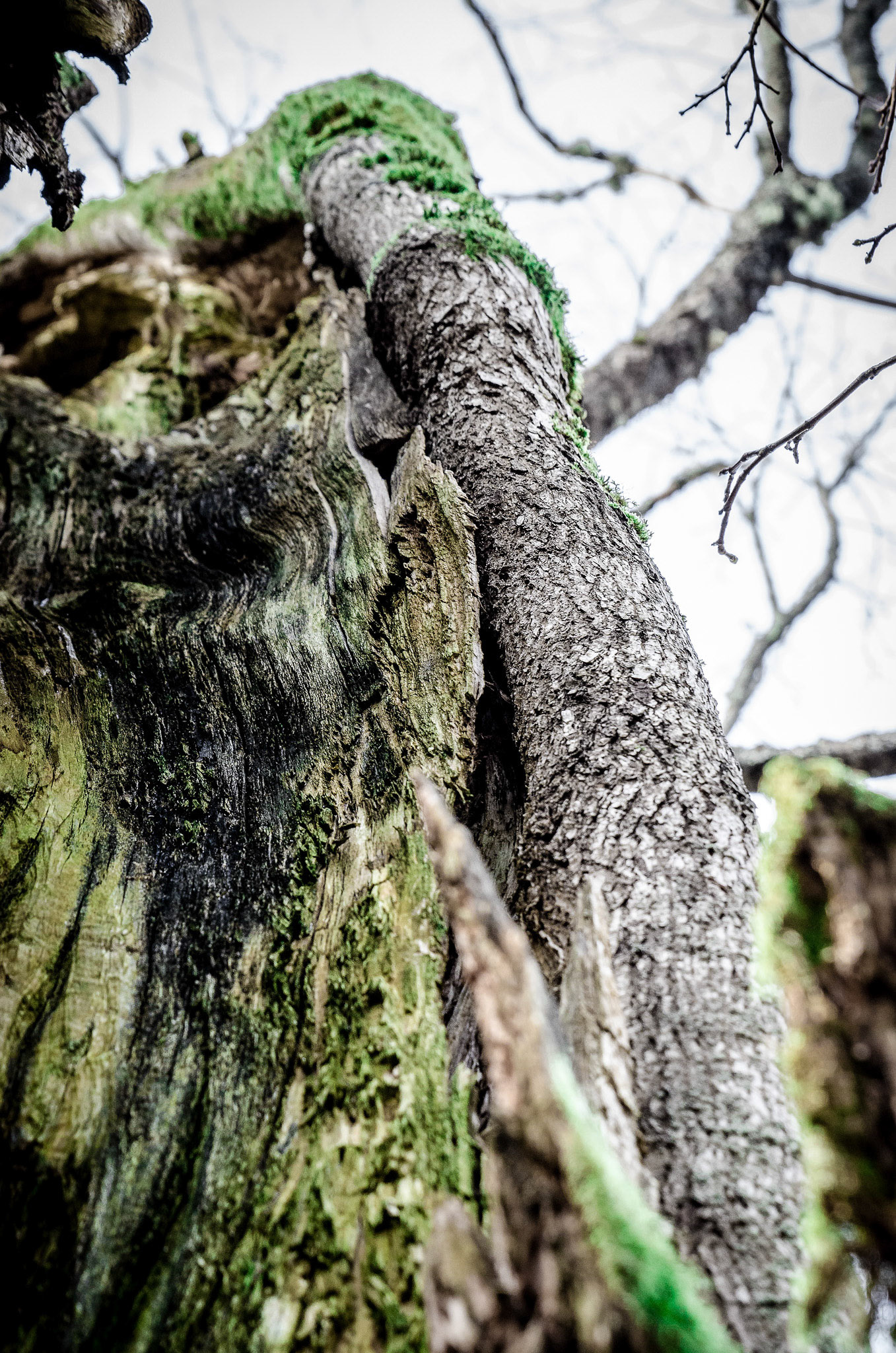 Foto: Christine Holm (www.christineholm.myportfolio.com)