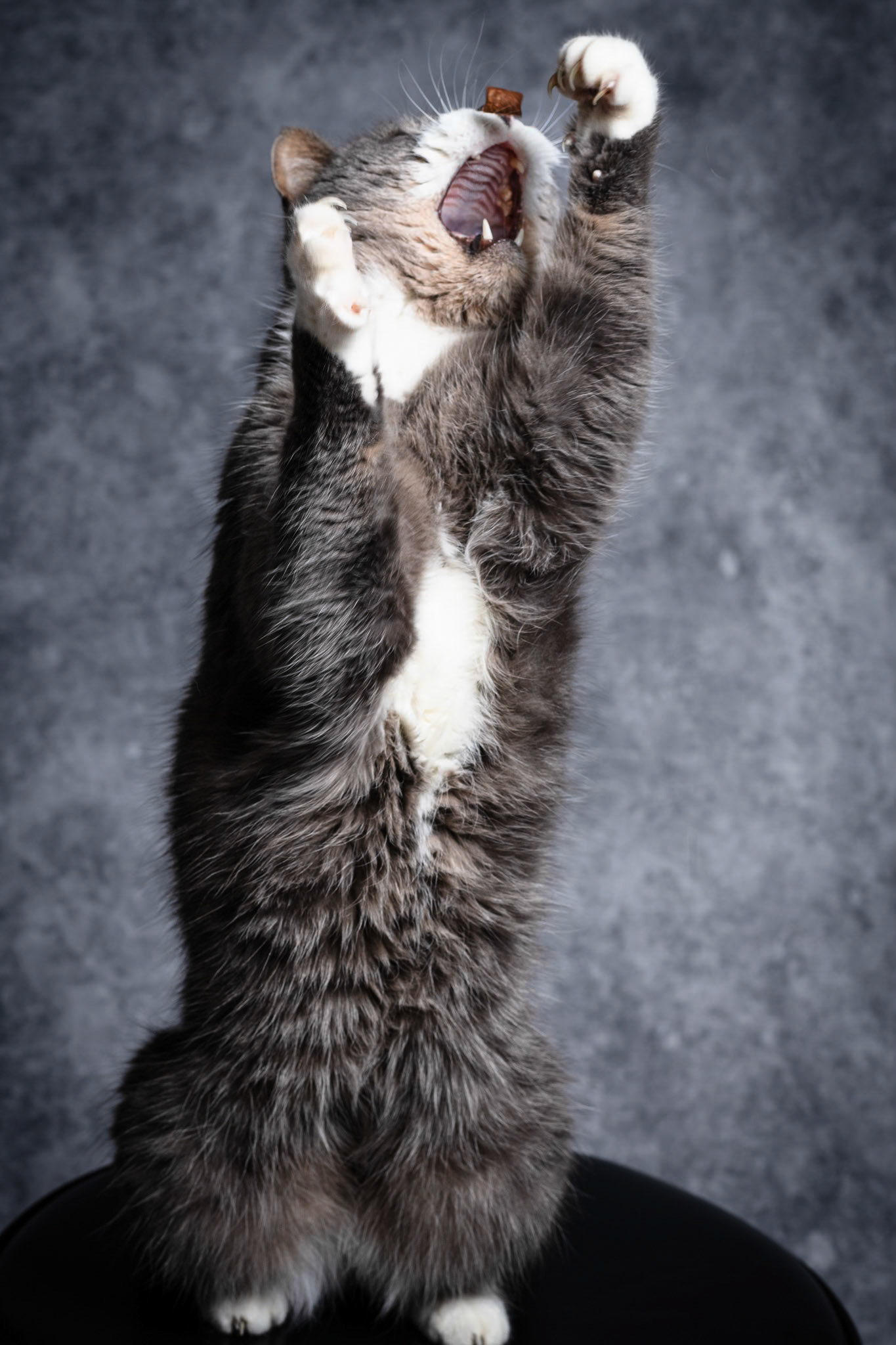 Foto: Christine Holm (www.christineholm.myportfolio.com)