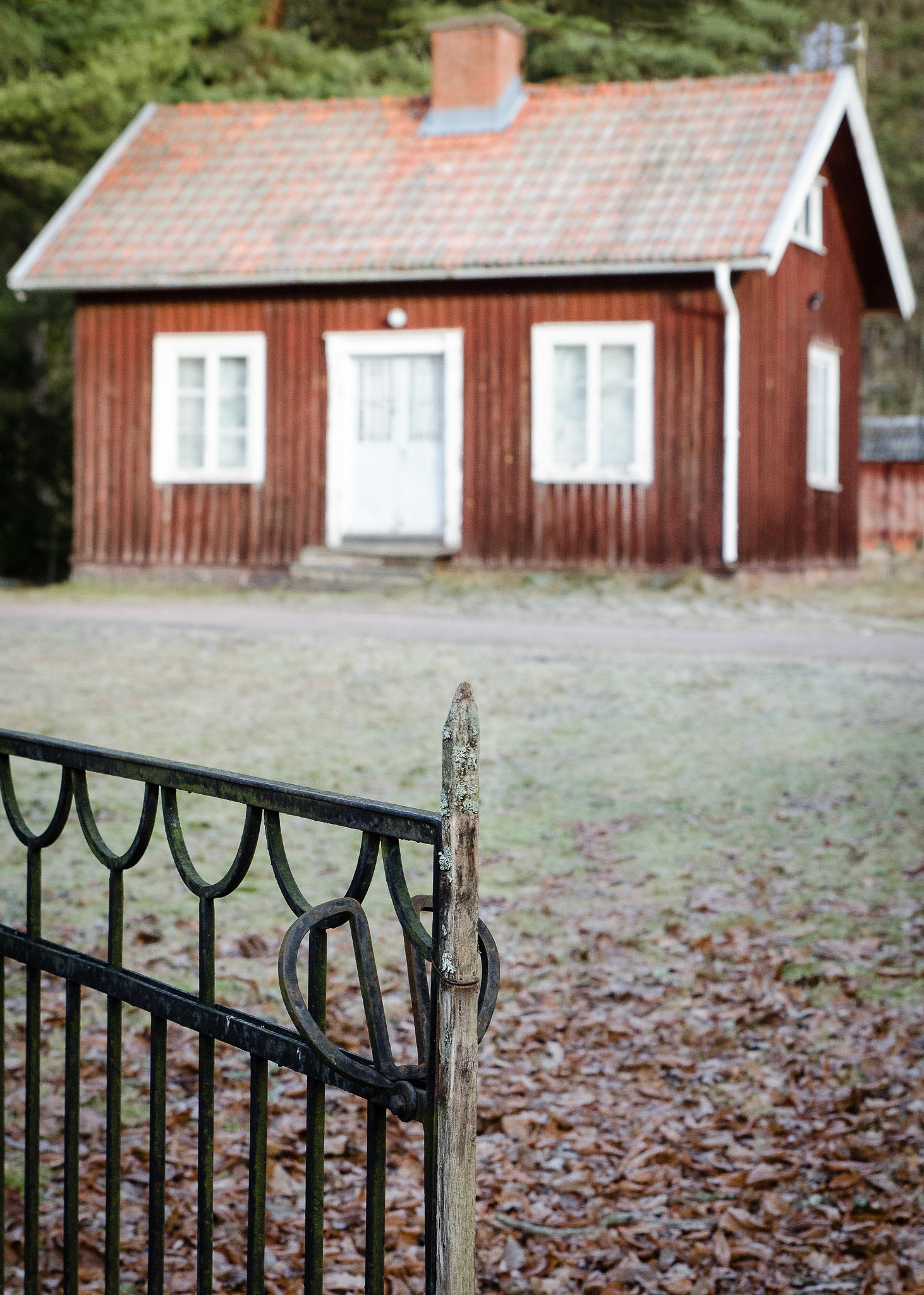 Foto: Christine Holm (www.christineholm.myportfolio.com)