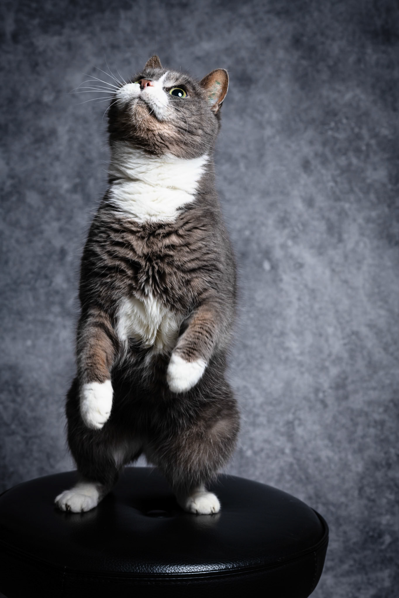 Foto: Christine Holm (www.christineholm.myportfolio.com)