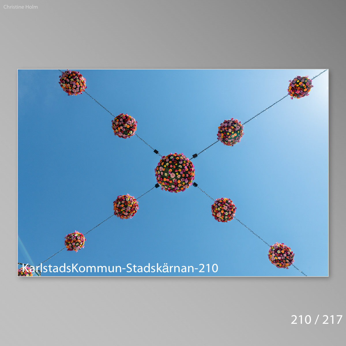 Foto: Christine Holm (www.christineholm.myportfolio.com)