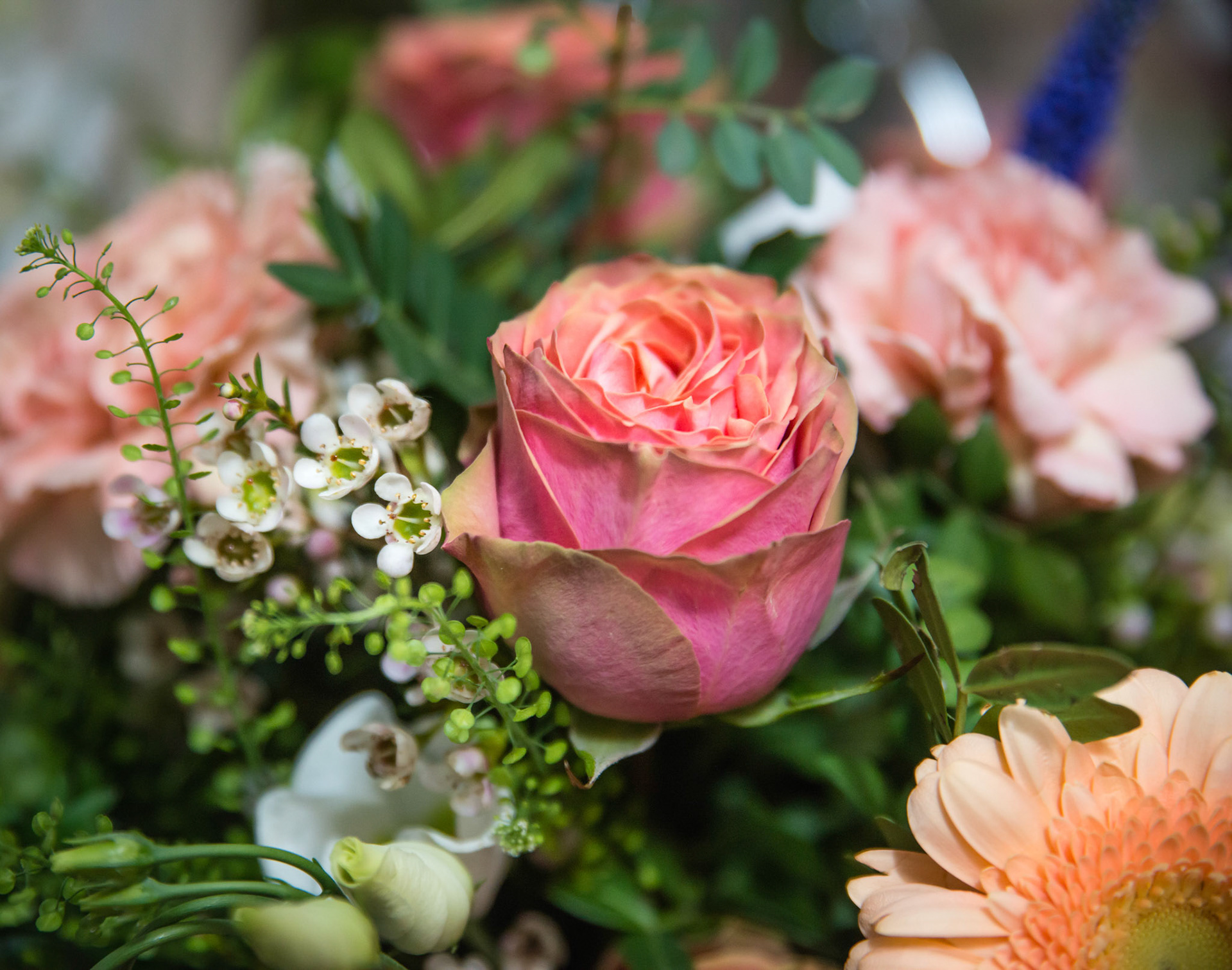 Foto: Christine Holm (www.christineholm.myportfolio.com)