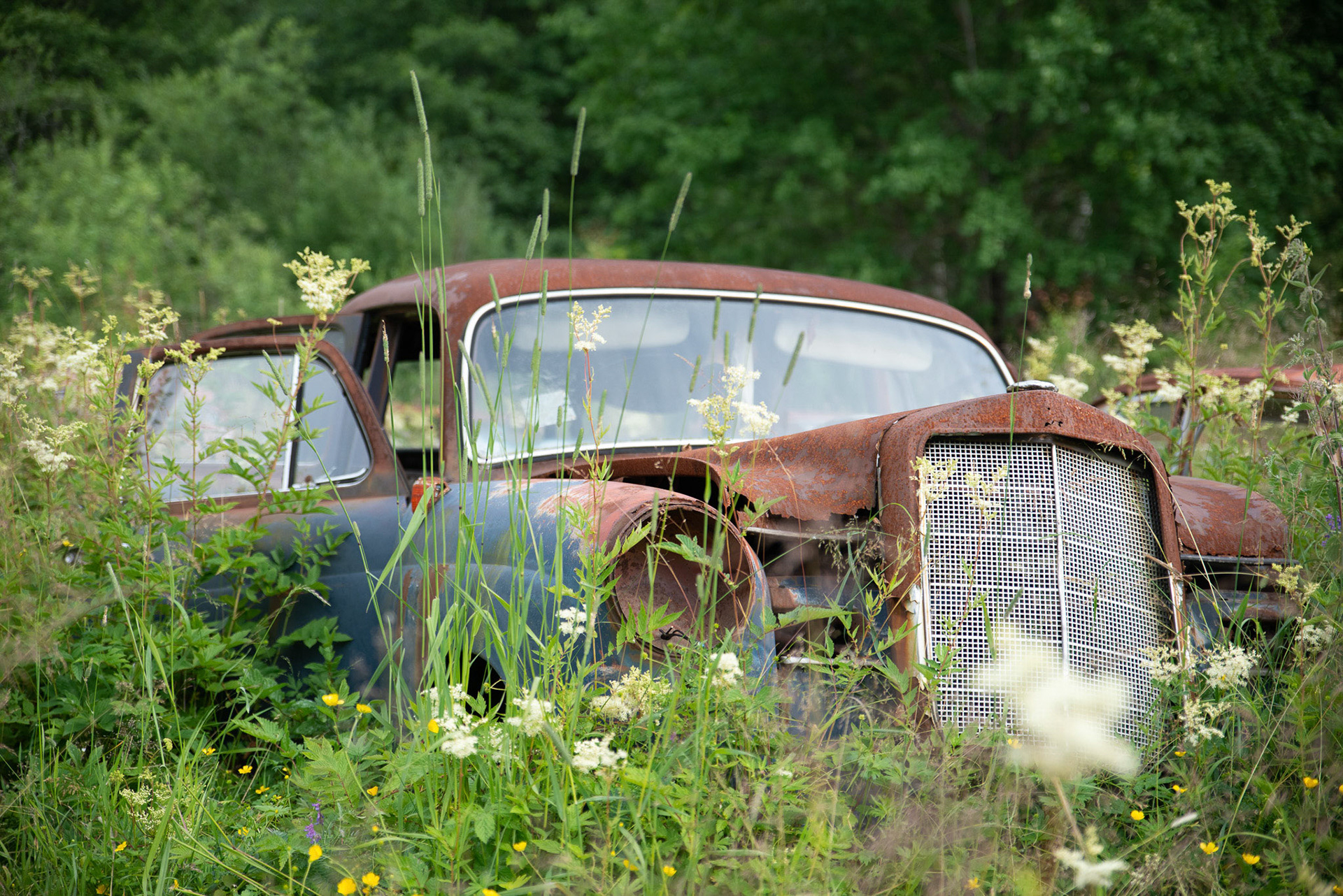 Foto: Christine Holm (www.christineholm.myportfolio.com)