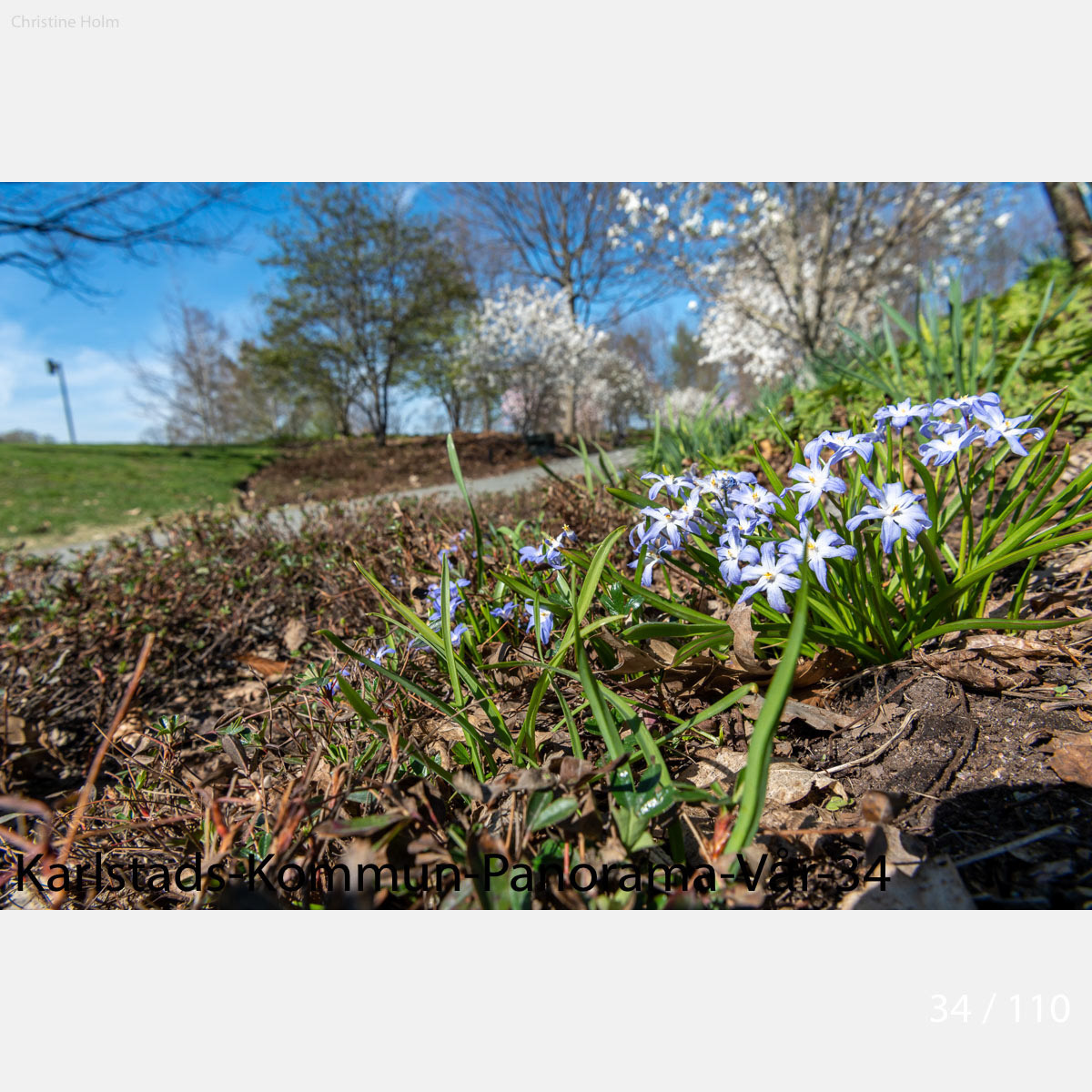 Foto: Christine Holm (www.christineholm.myportfolio.com)
