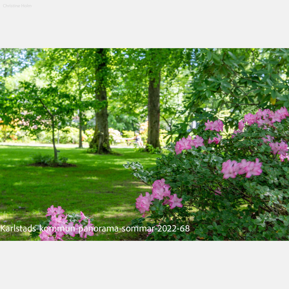 Foto: Christine Holm (www.christineholm.myportfolio.com)