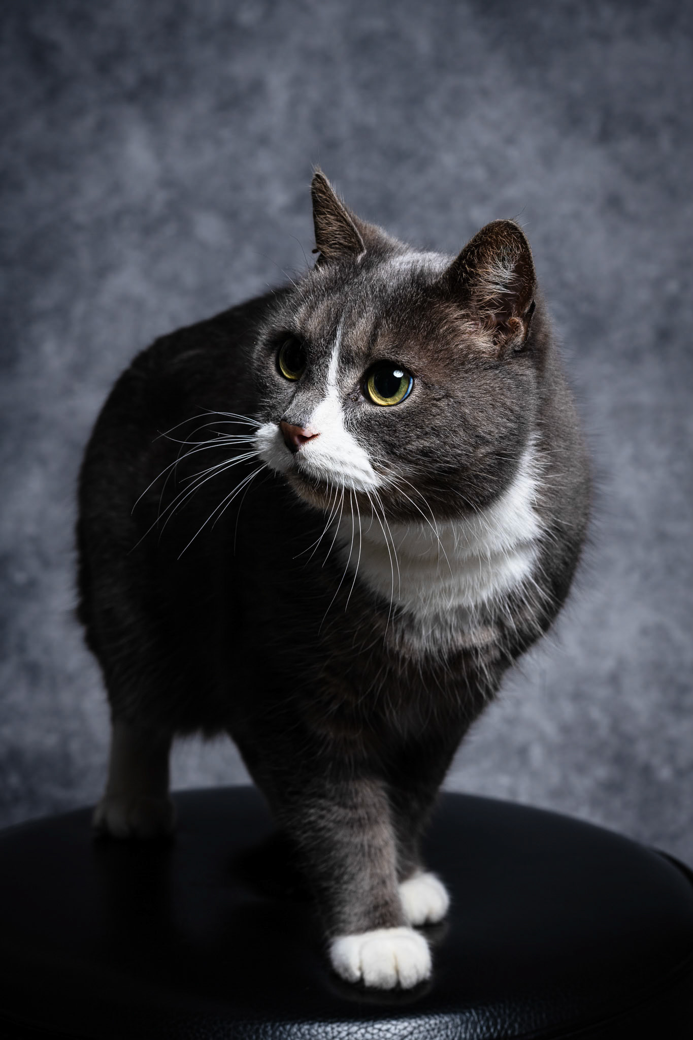 Foto: Christine Holm (www.christineholm.myportfolio.com)