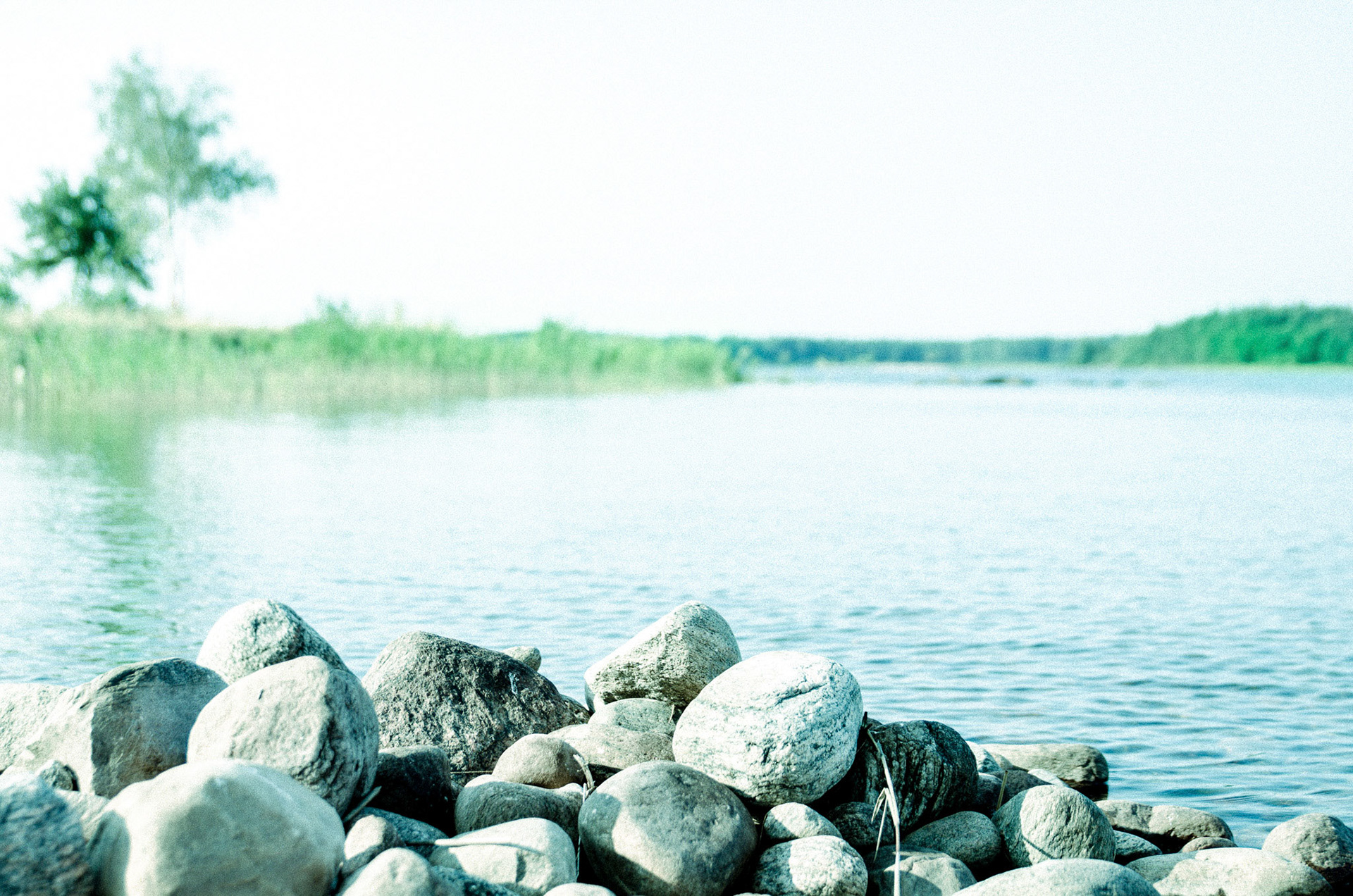 Foto: Christine Holm (www.christineholm.myportfolio.com)