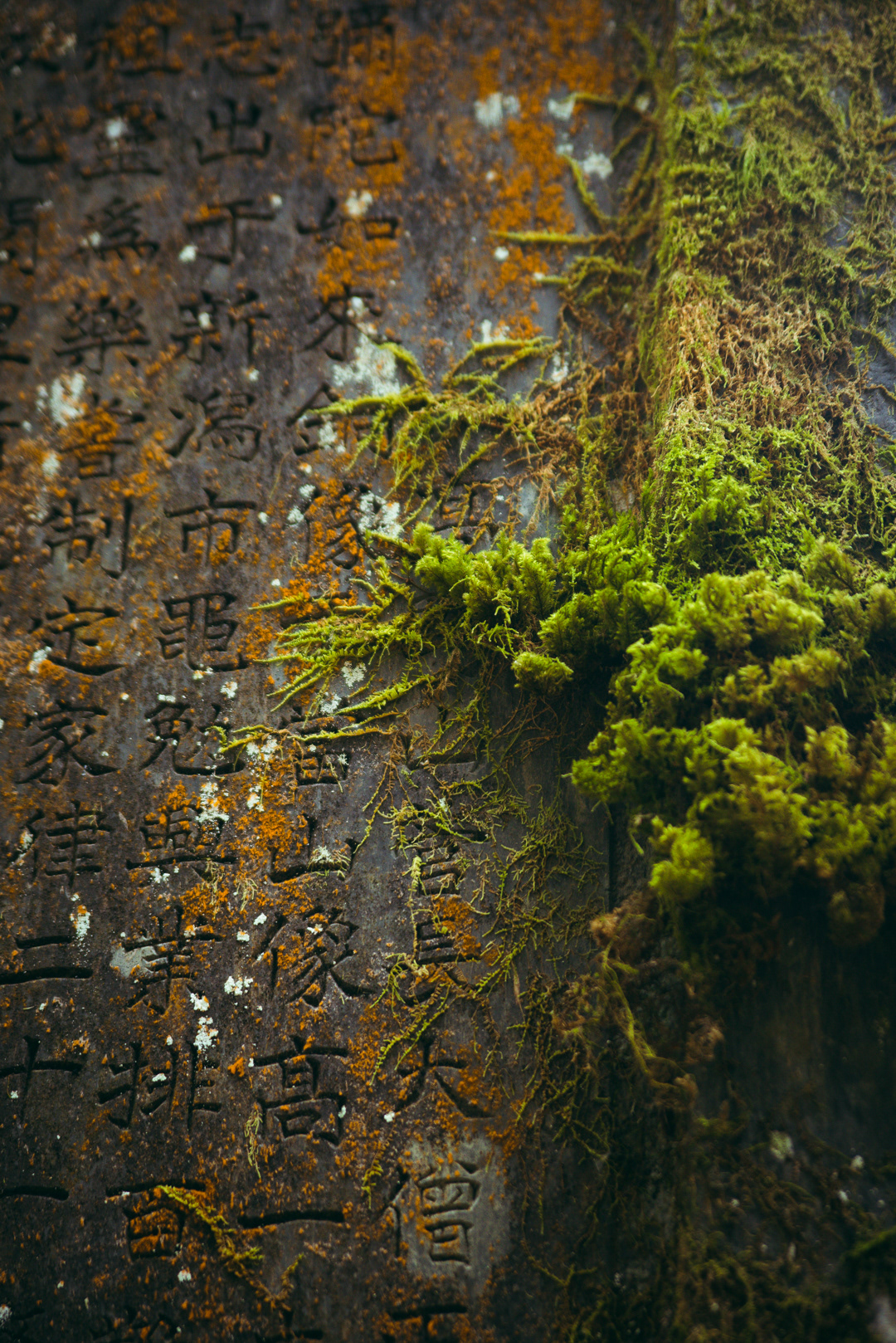 Koyasan, Japan | 2023