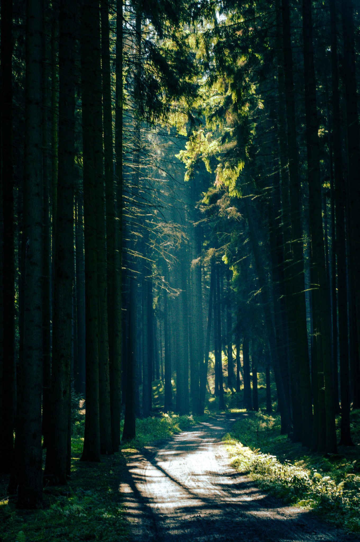 Cesky Raj, Czechia | 2019