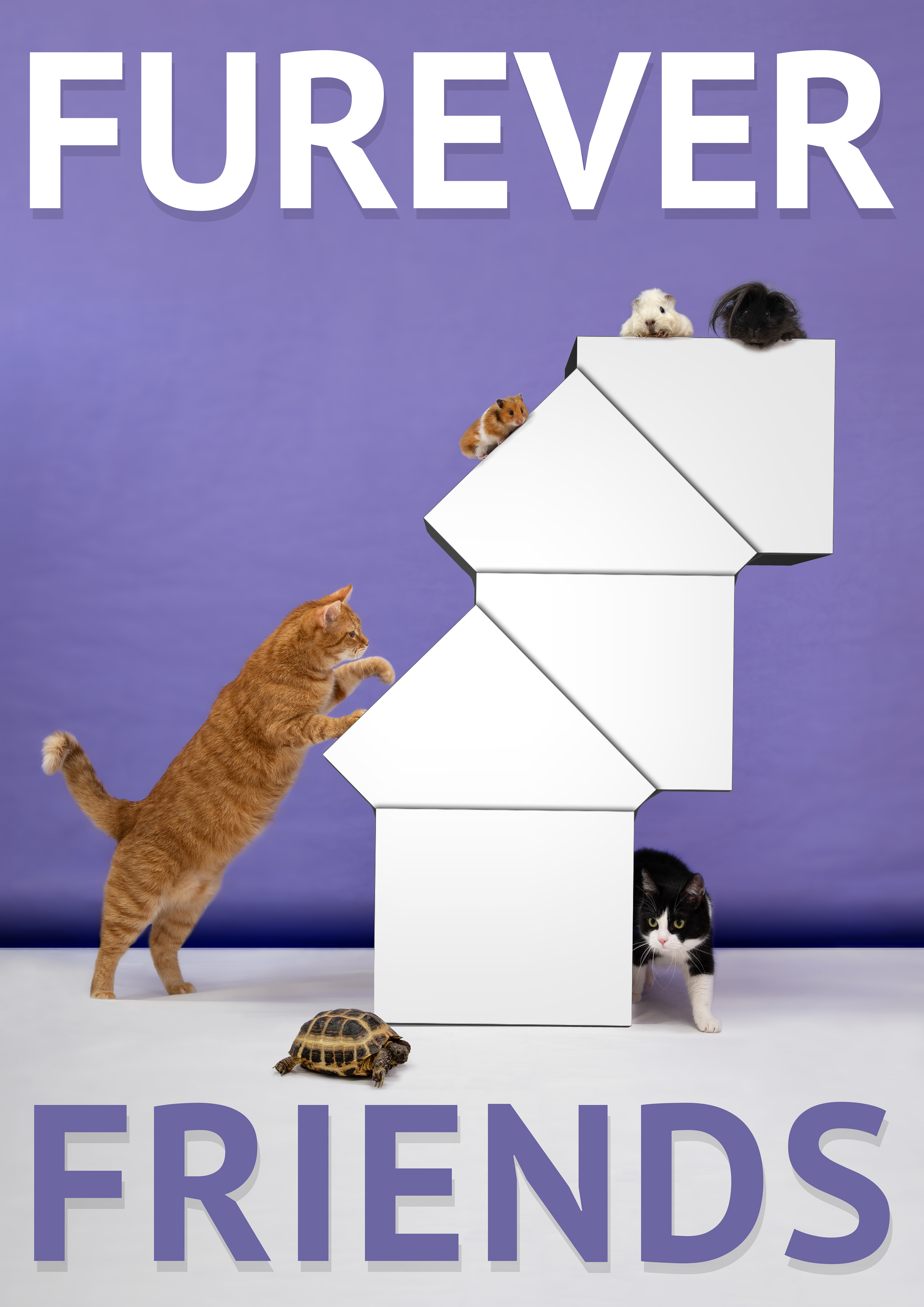 Plakát Furever Friends