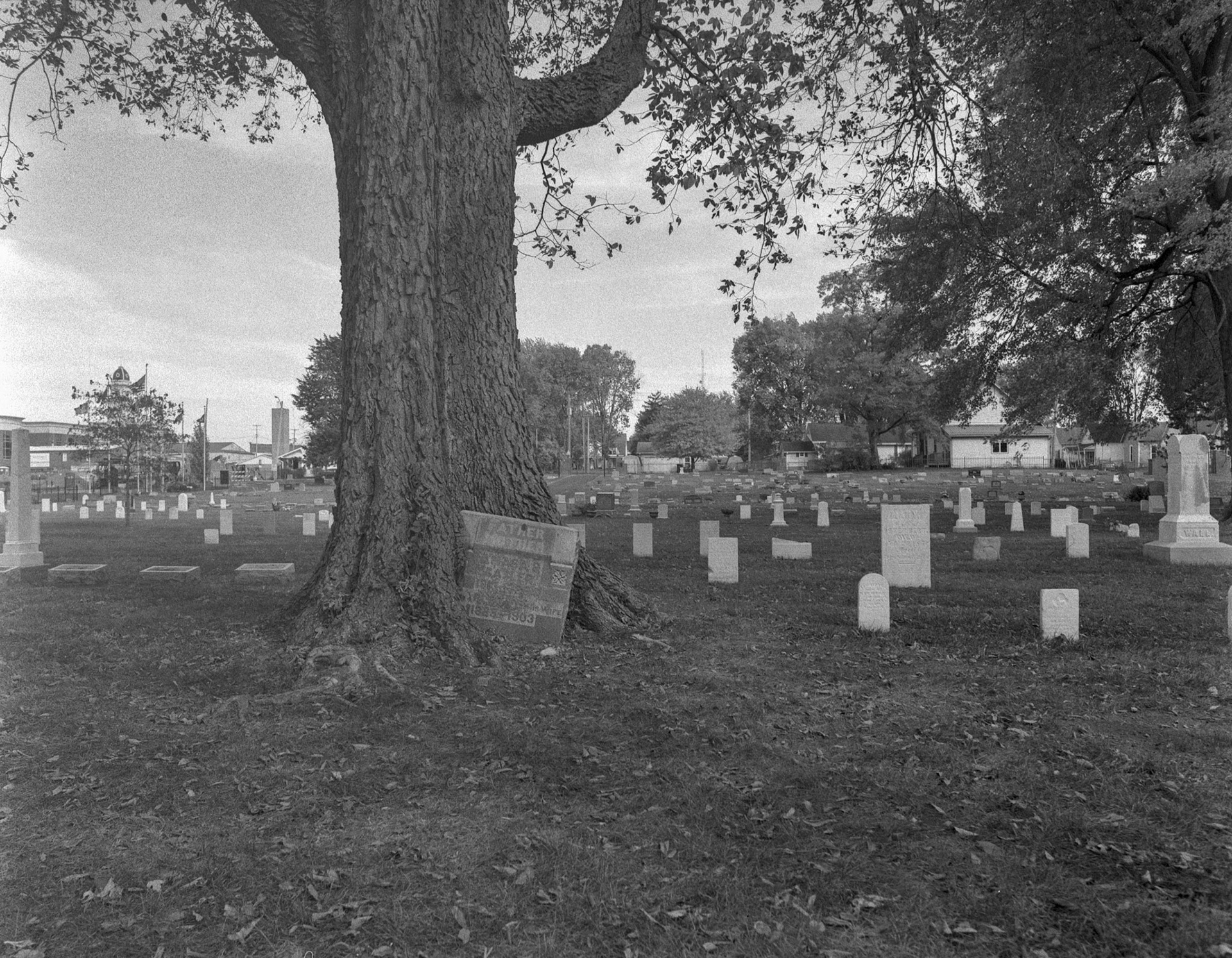 Ilford HP5