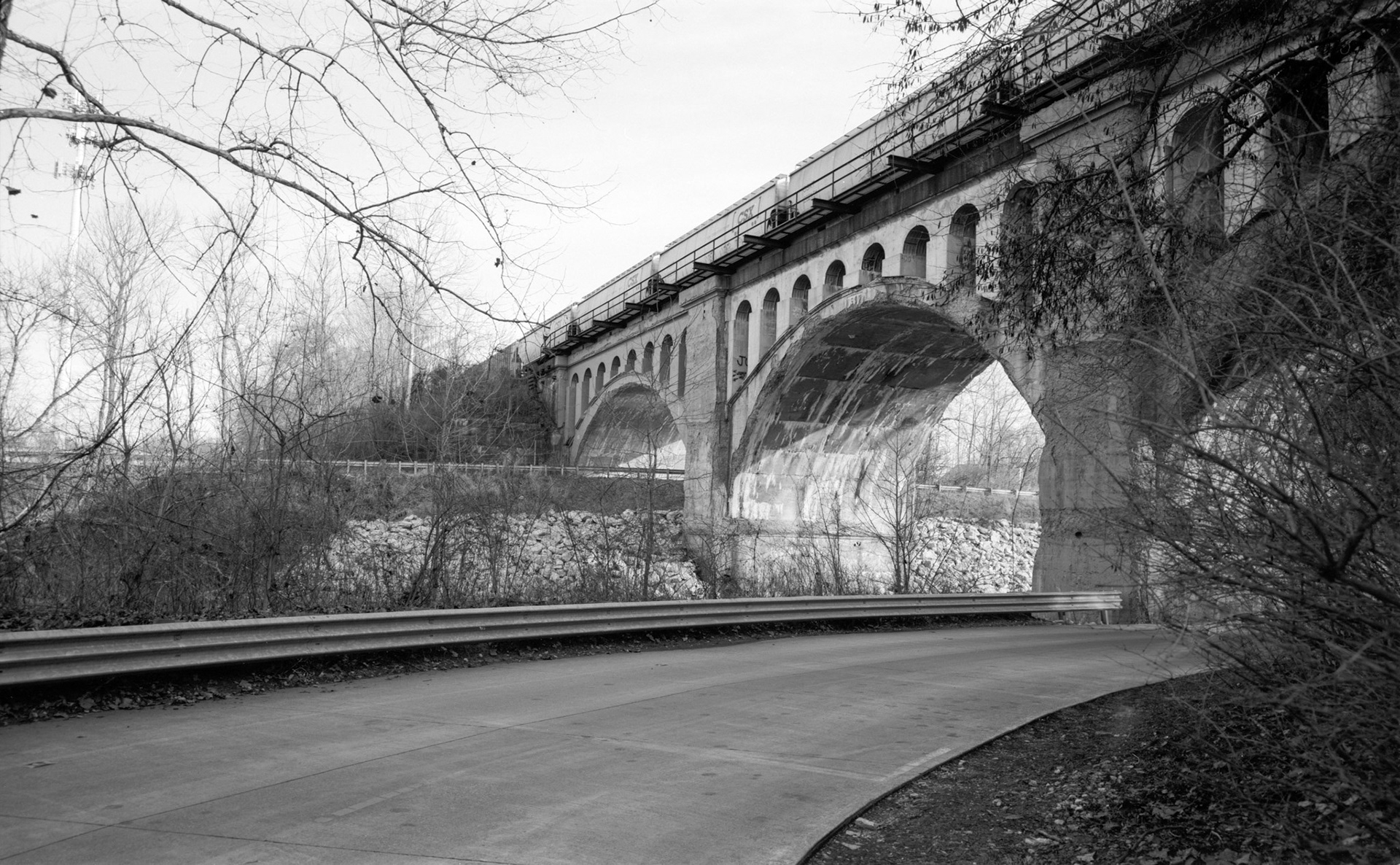Kodak T-Max