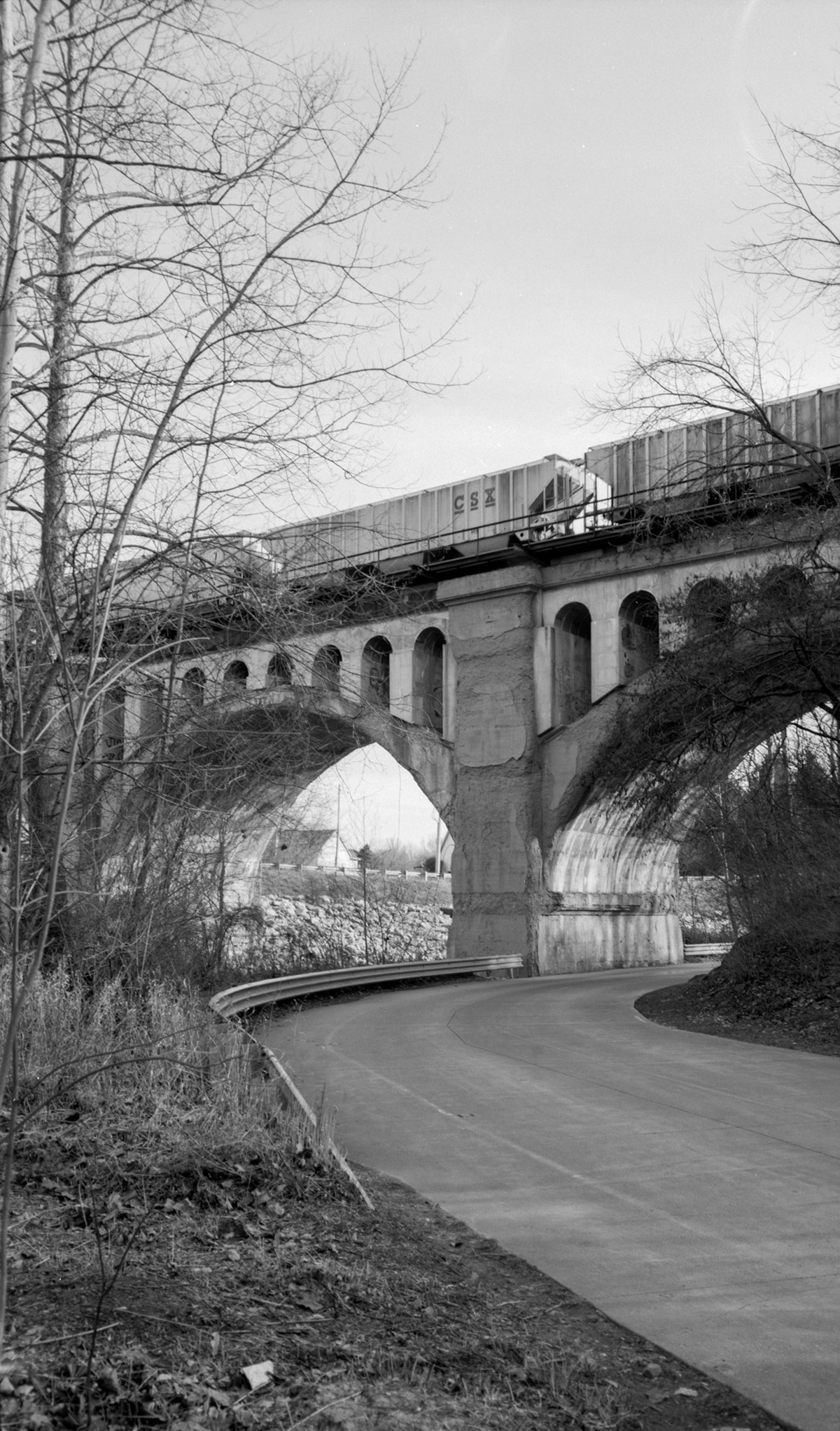 Kodak T-Max