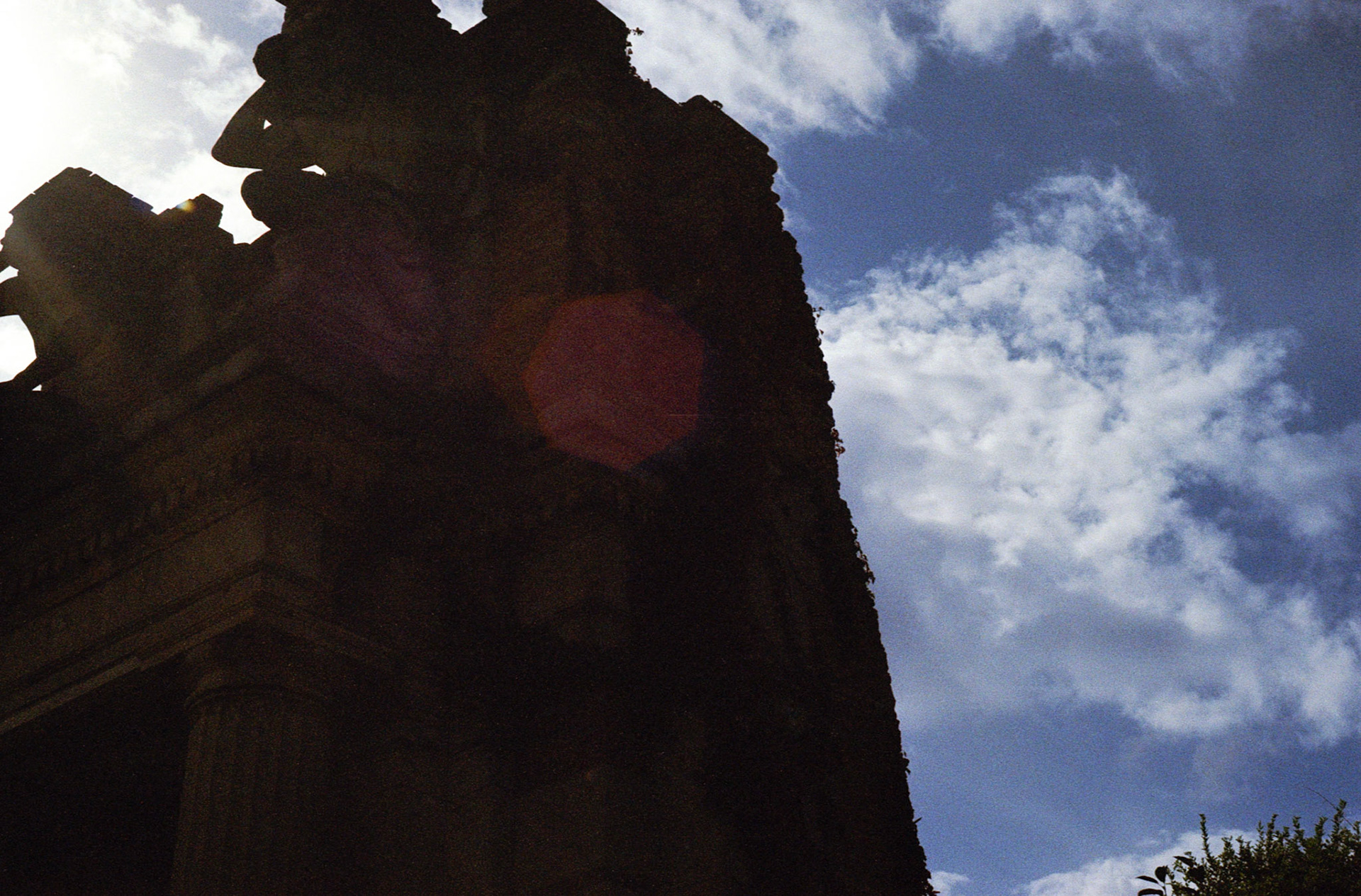 Kodak Portra