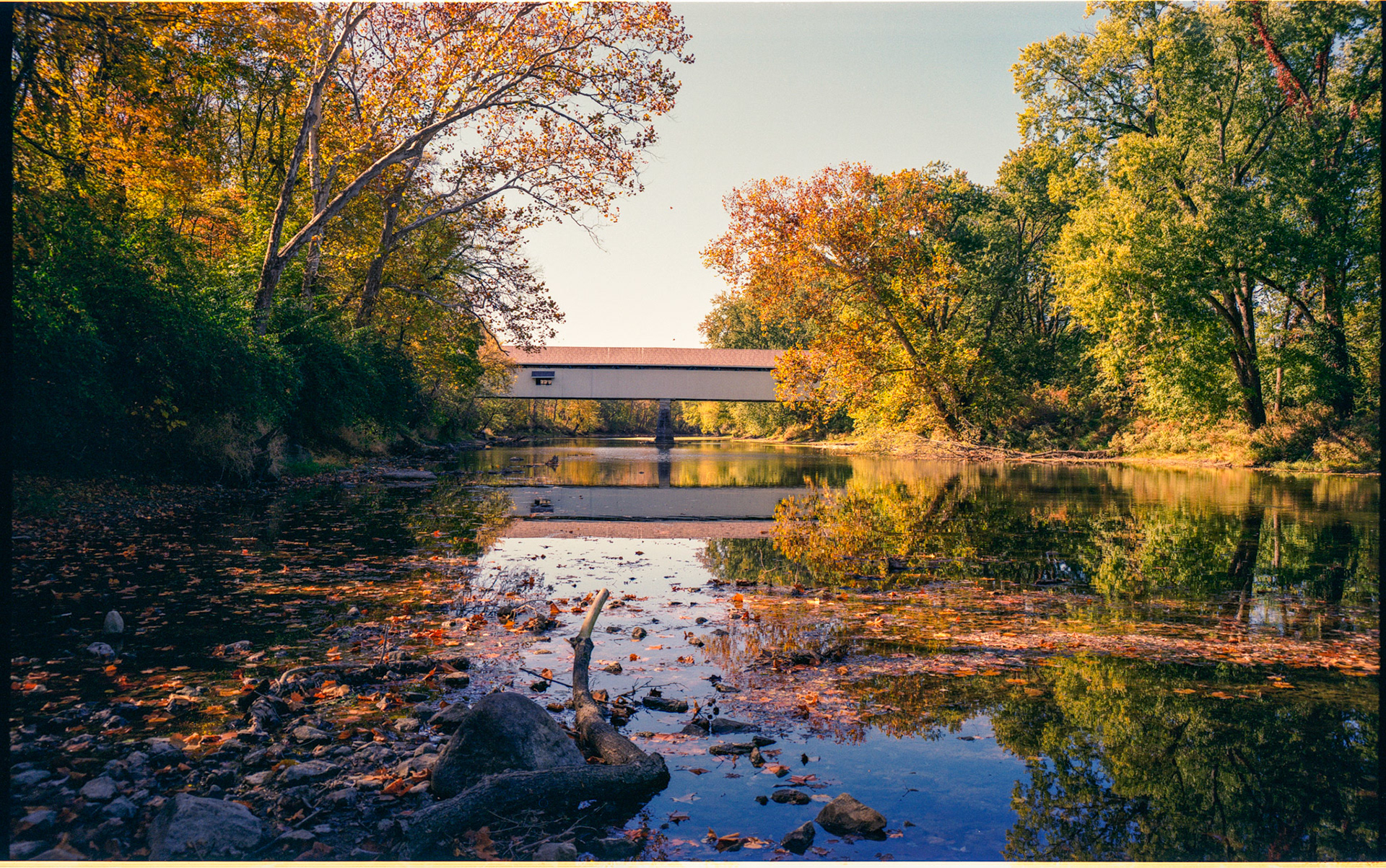 Kodak Gold 200
