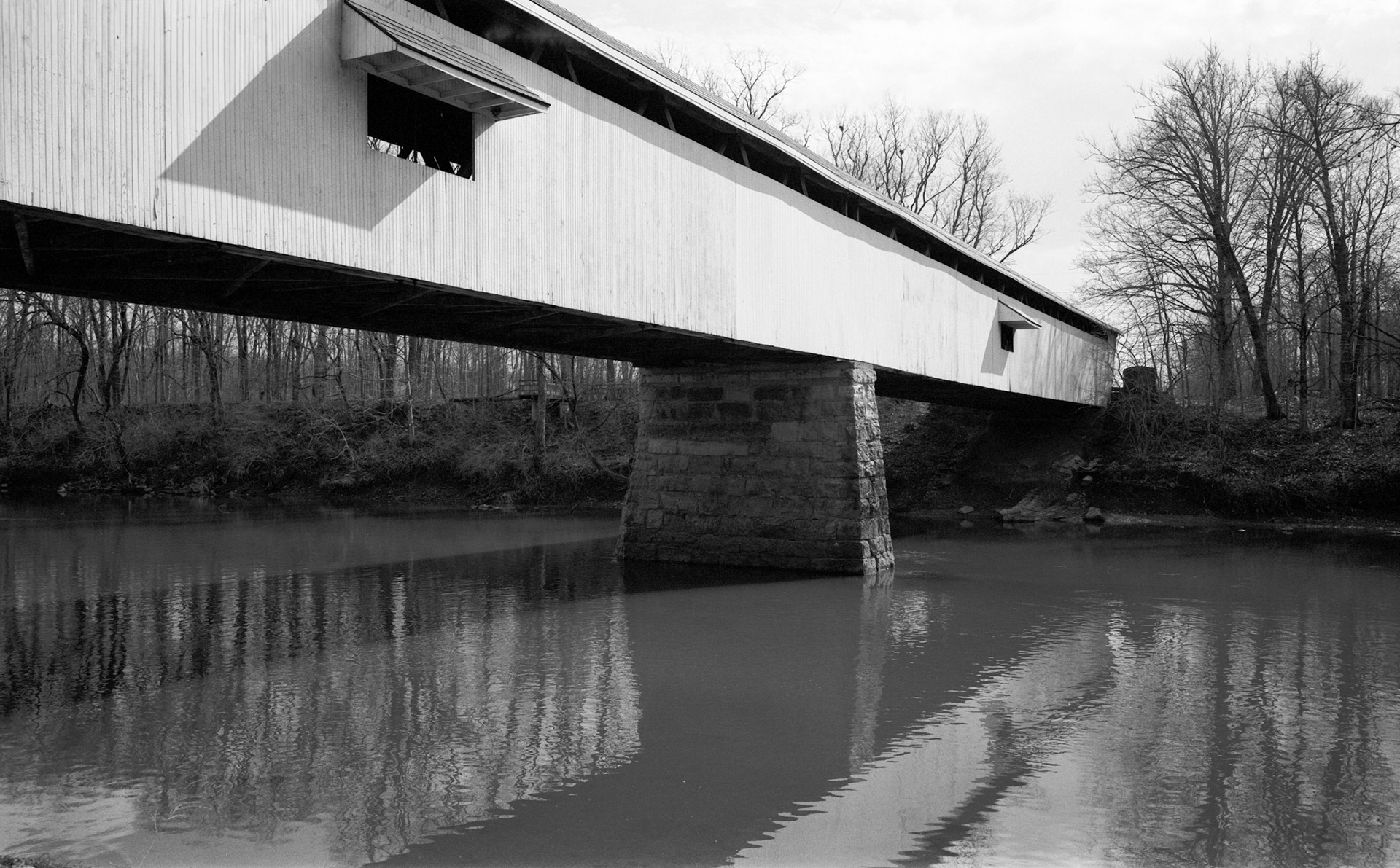 Kodak T-Max