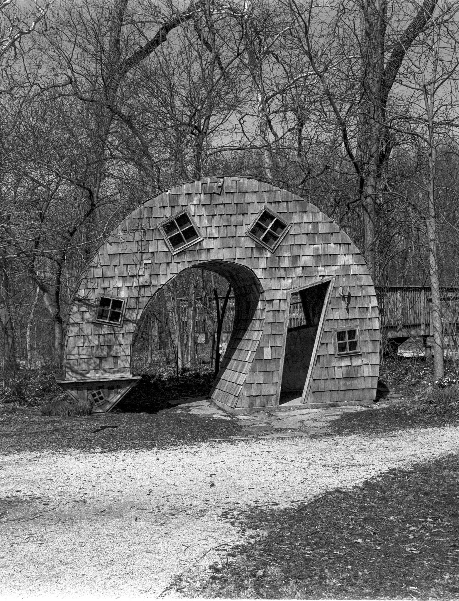 Kodak Tmax