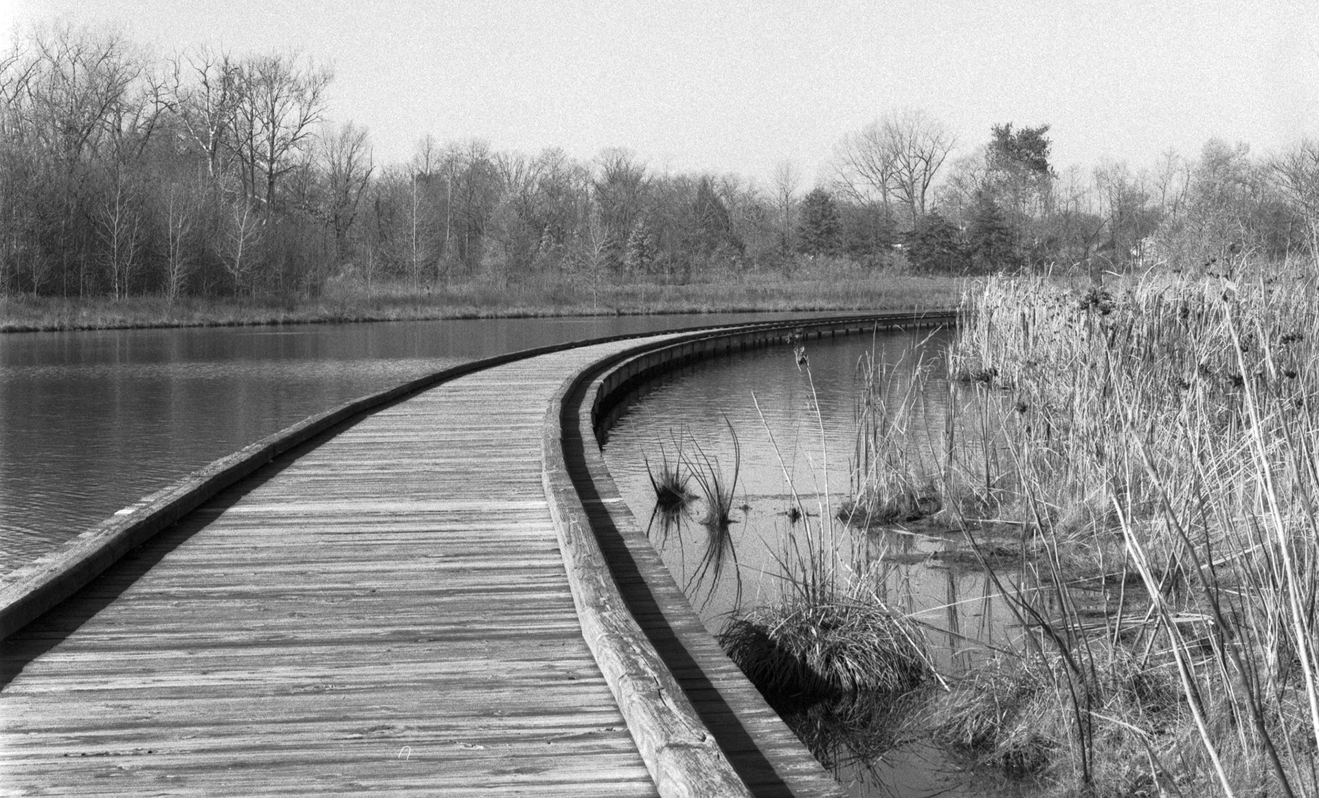 Ilford HP5