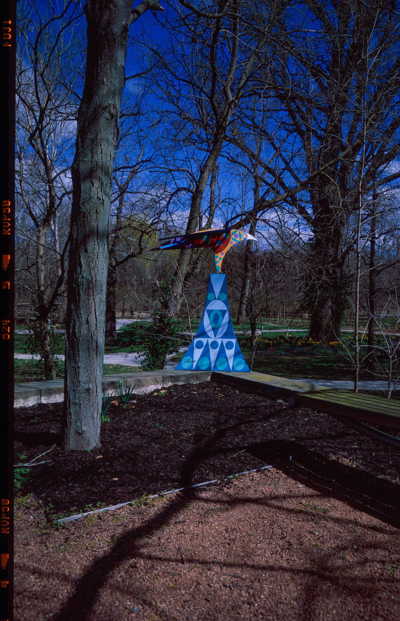 Fuji Velvia 50