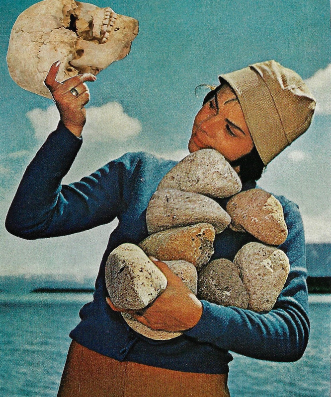 2023 | Collage Raw | Joshua Cornelis