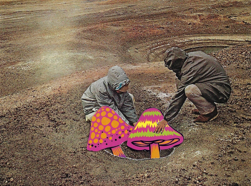 2023 | Collage Raw | Joshua Cornelis