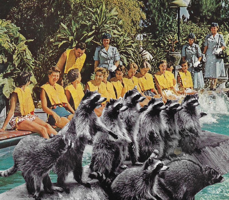 2023 | Collage Raw | Joshua Cornelis