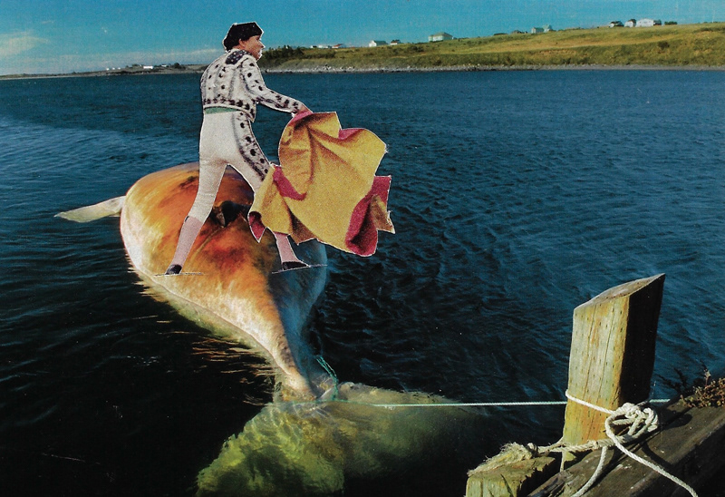 2023 | Collage Raw | Joshua Cornelis