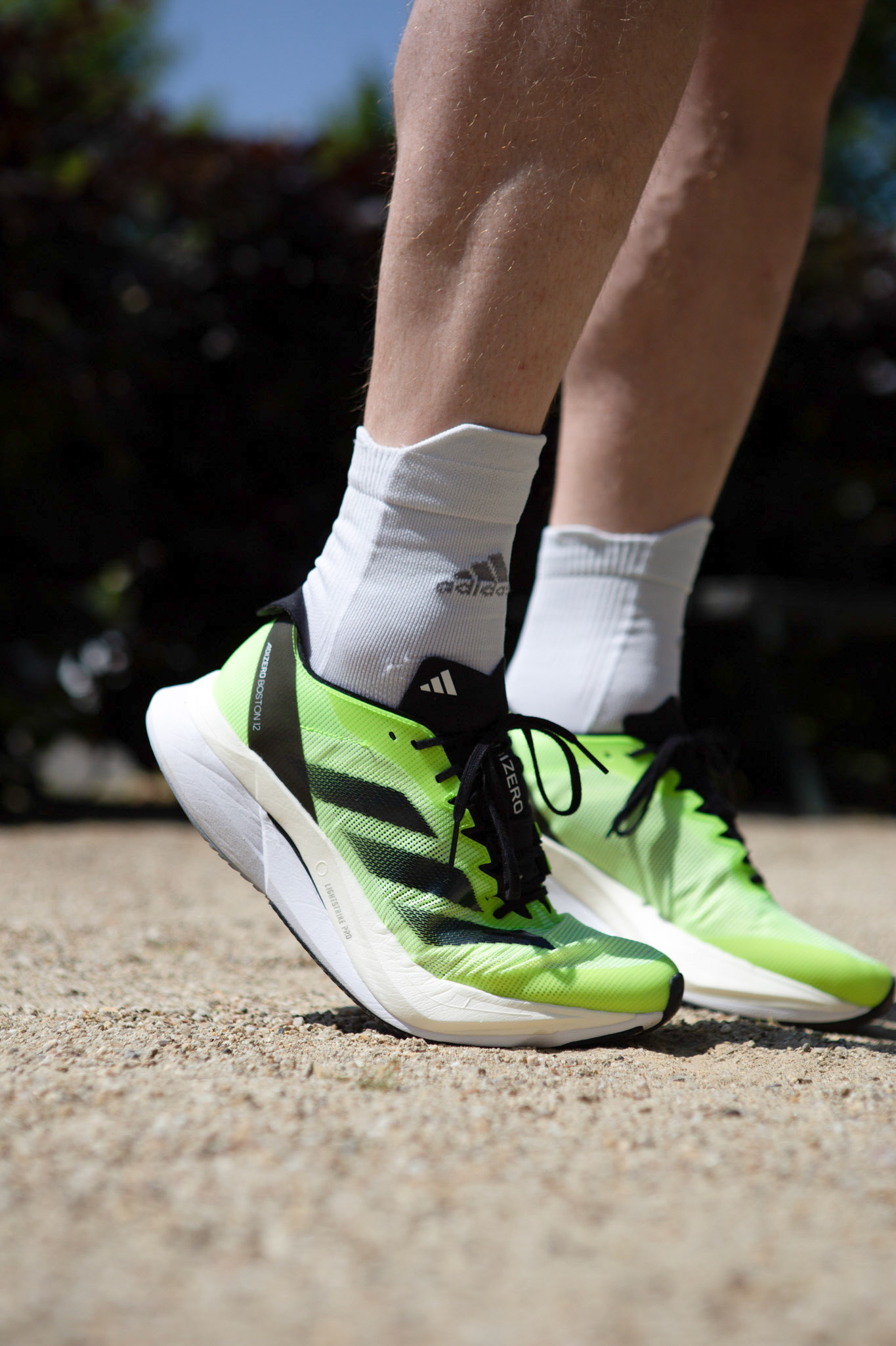 adidas Adizero Boston 12