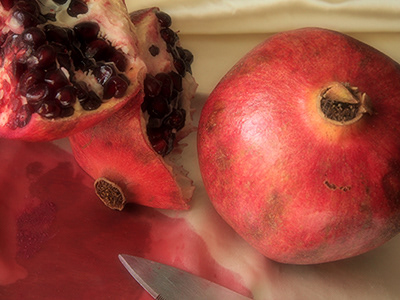 I like my inks and dyes to be very concentrated. For this batch I used 10 pomegranates skins.
