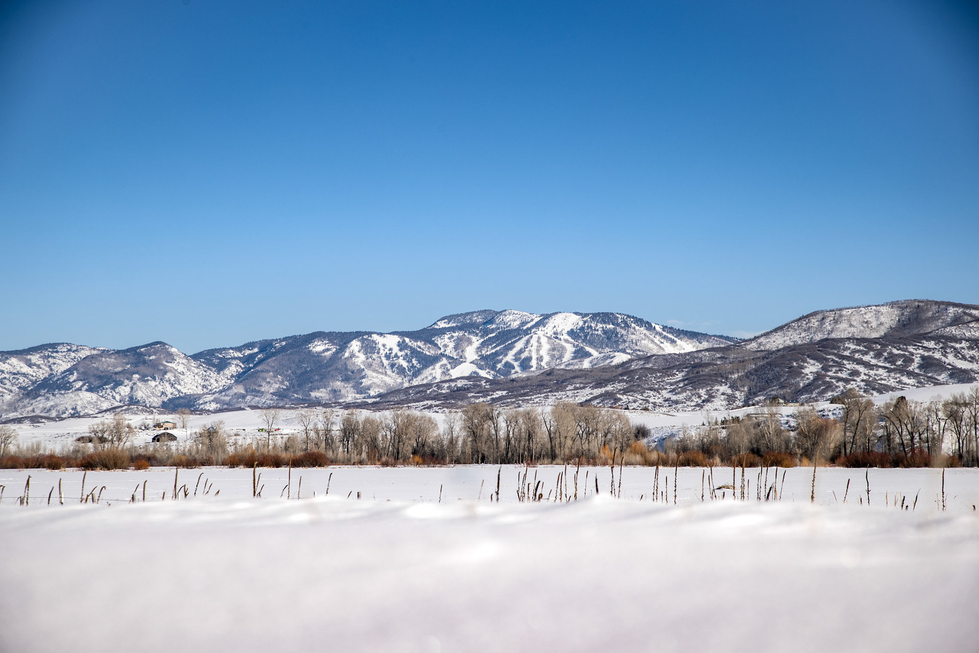 Steamboat Springs, CO