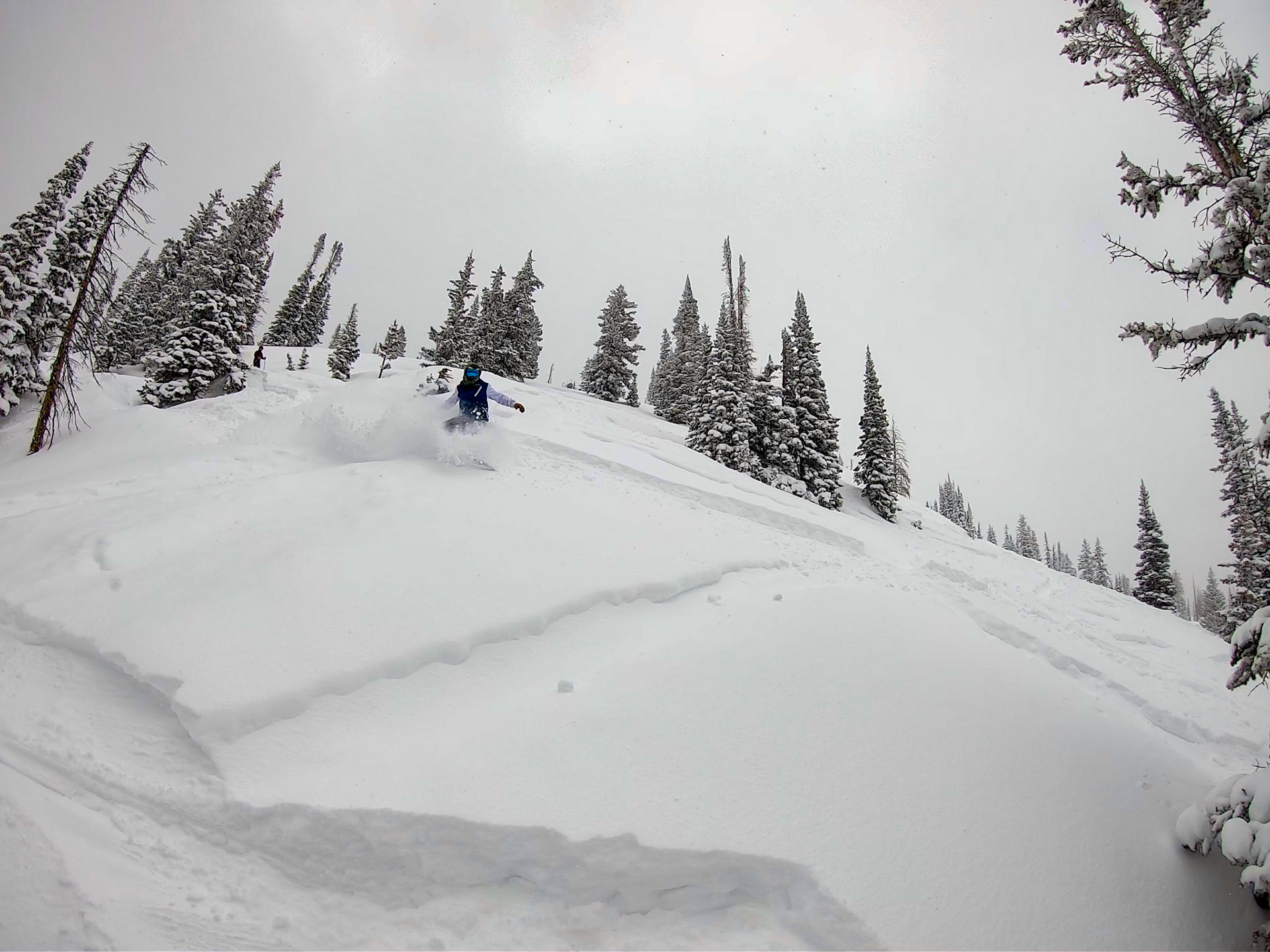 Steamboat Springs, CO