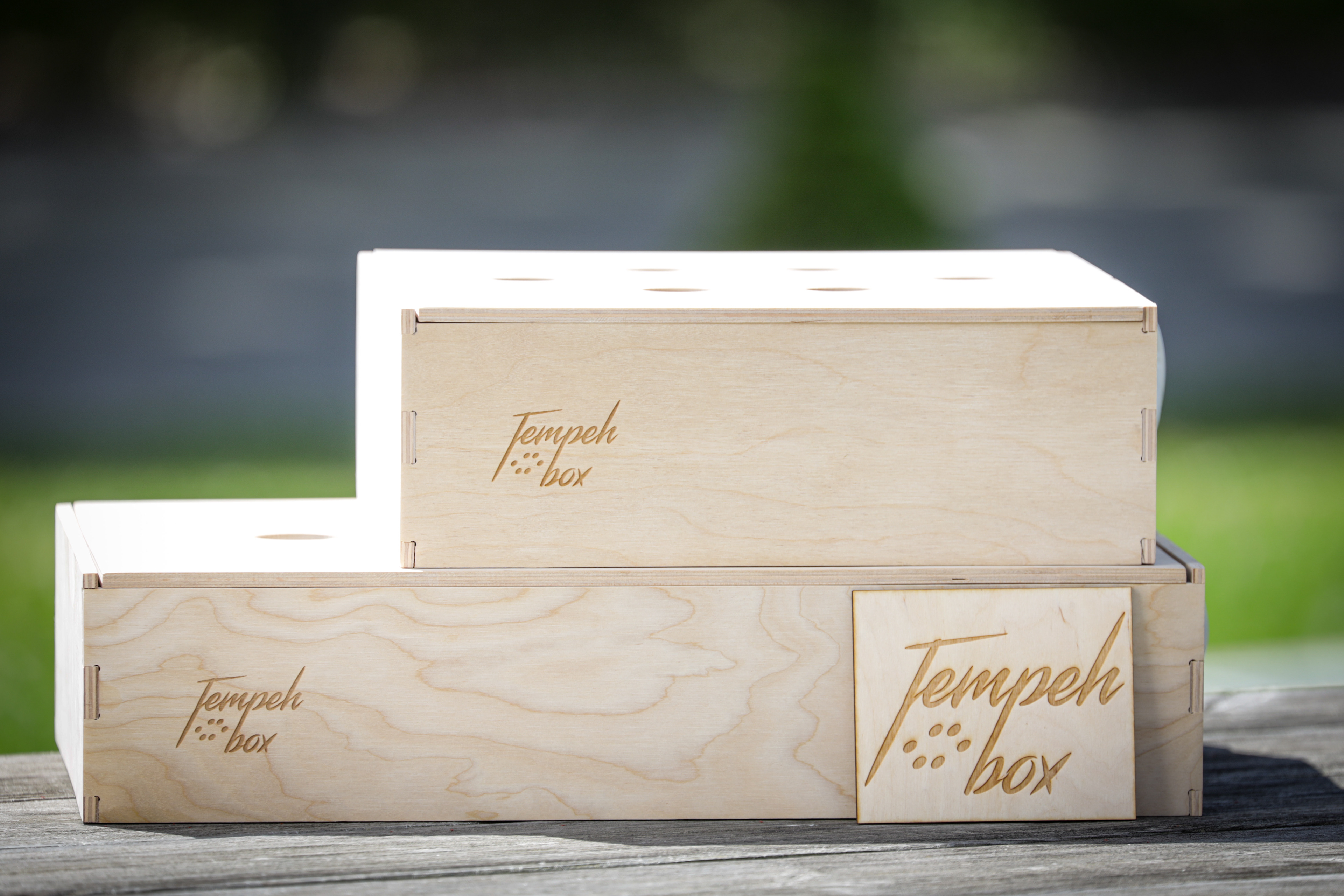 Tempeh Box