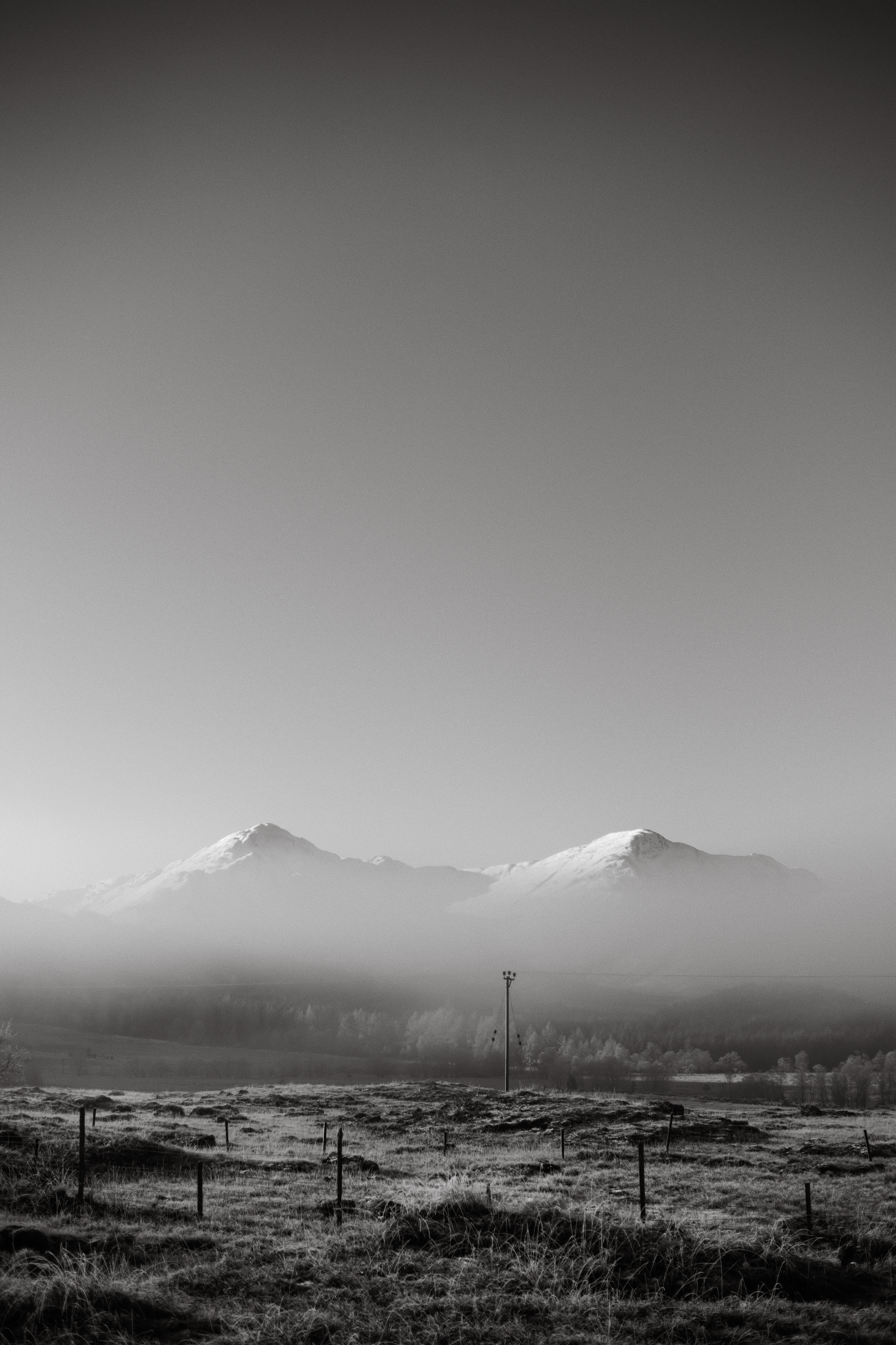 Drumfern, 2023